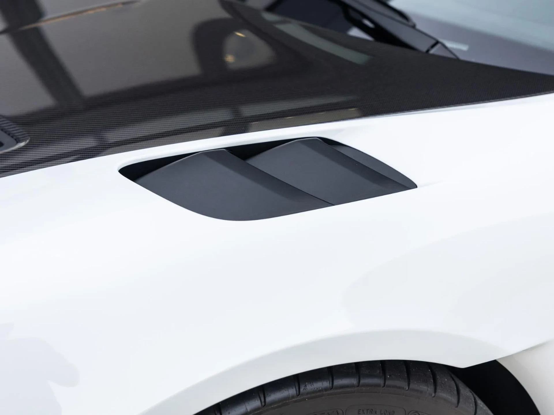 mph018_541866101_19_876b5bebec