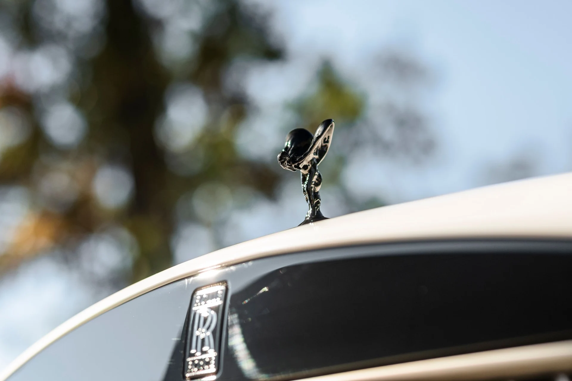 mph018_542339291_a01f4138d4c641ab9b5171e9b95ef5a2_41c6847426