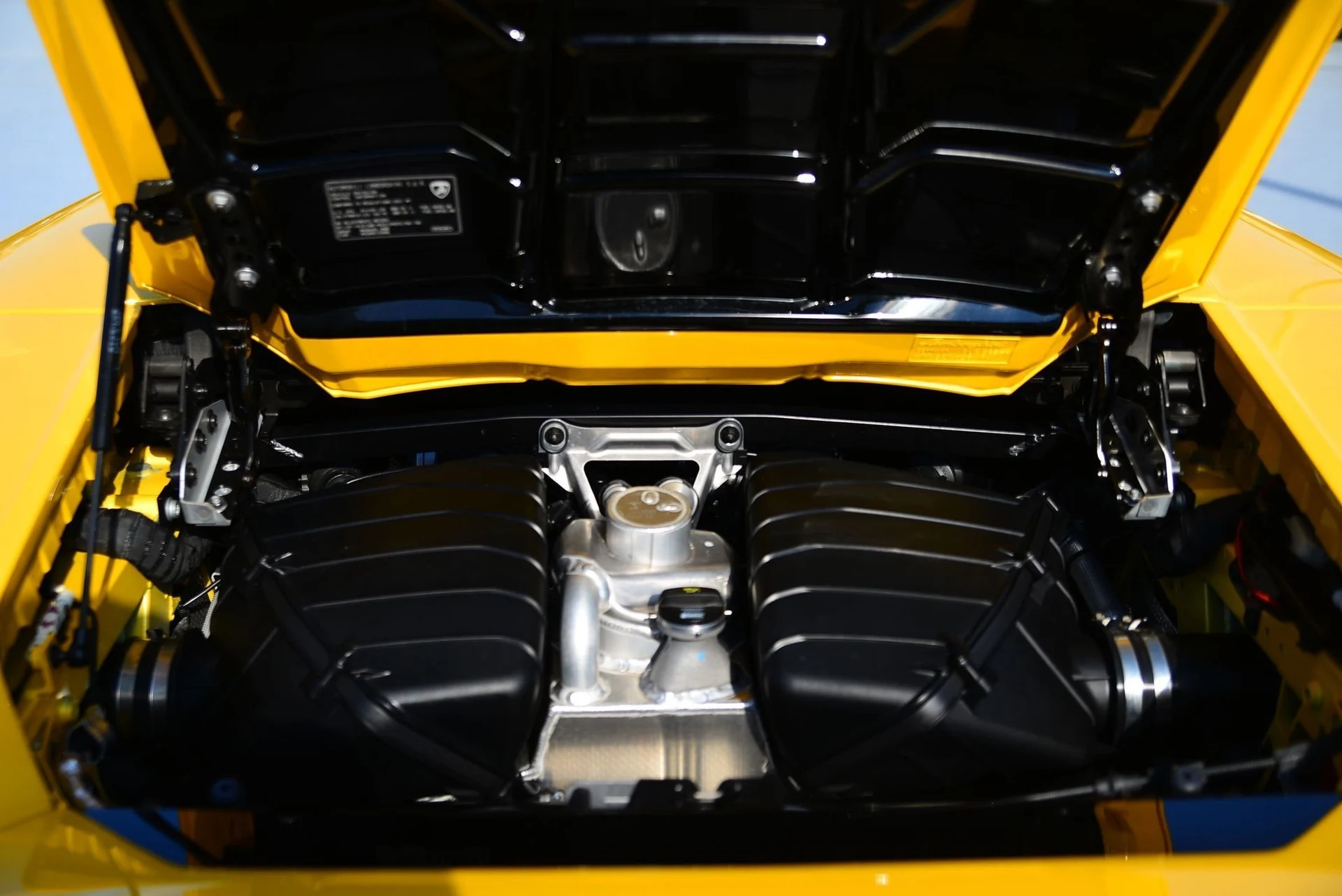 mph018_644206384_aecf232499c138252d559a3caf73ff8ex_1ff8f2e2a0