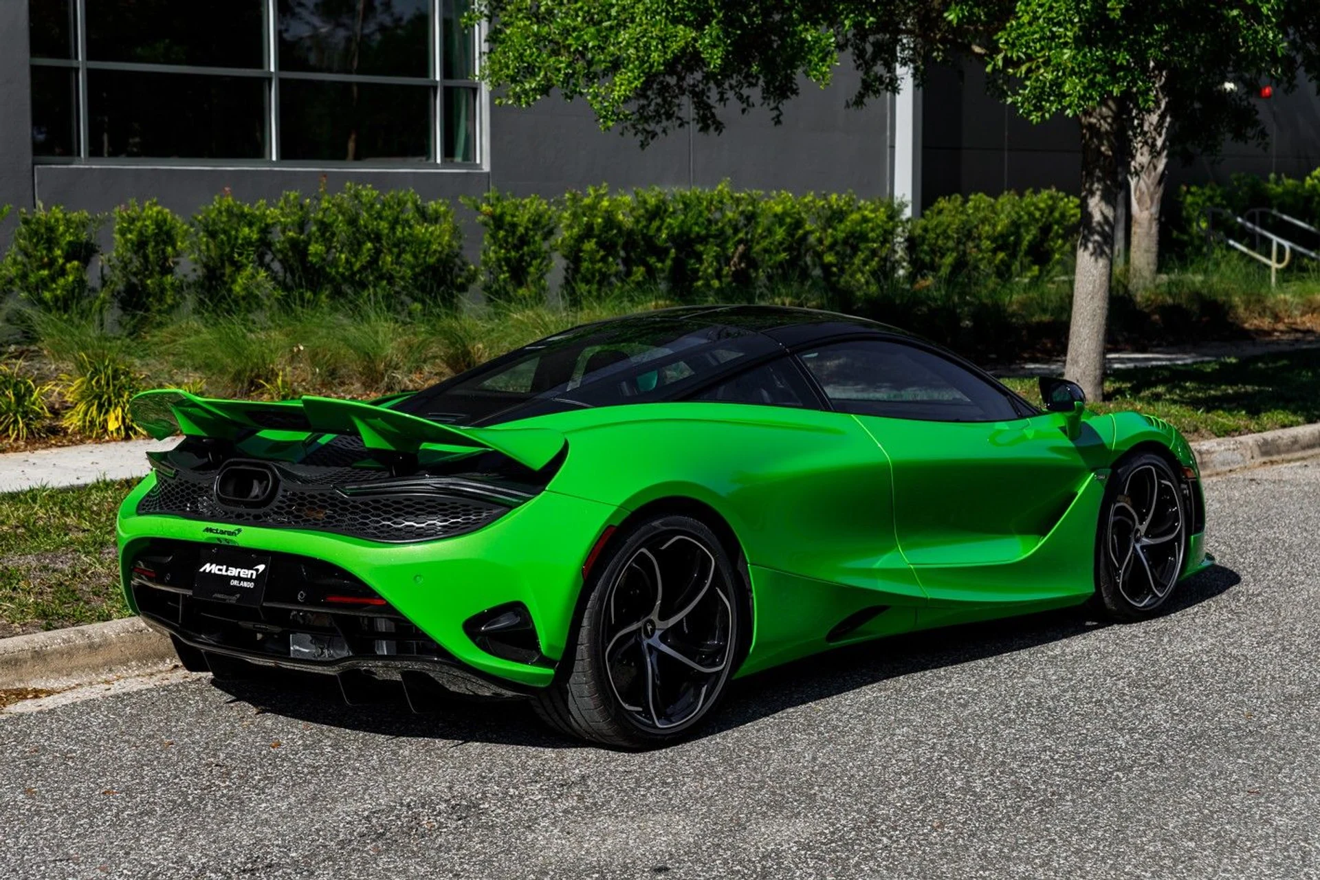 mph018_65938388_668_p19_l_6bf16cdd9c