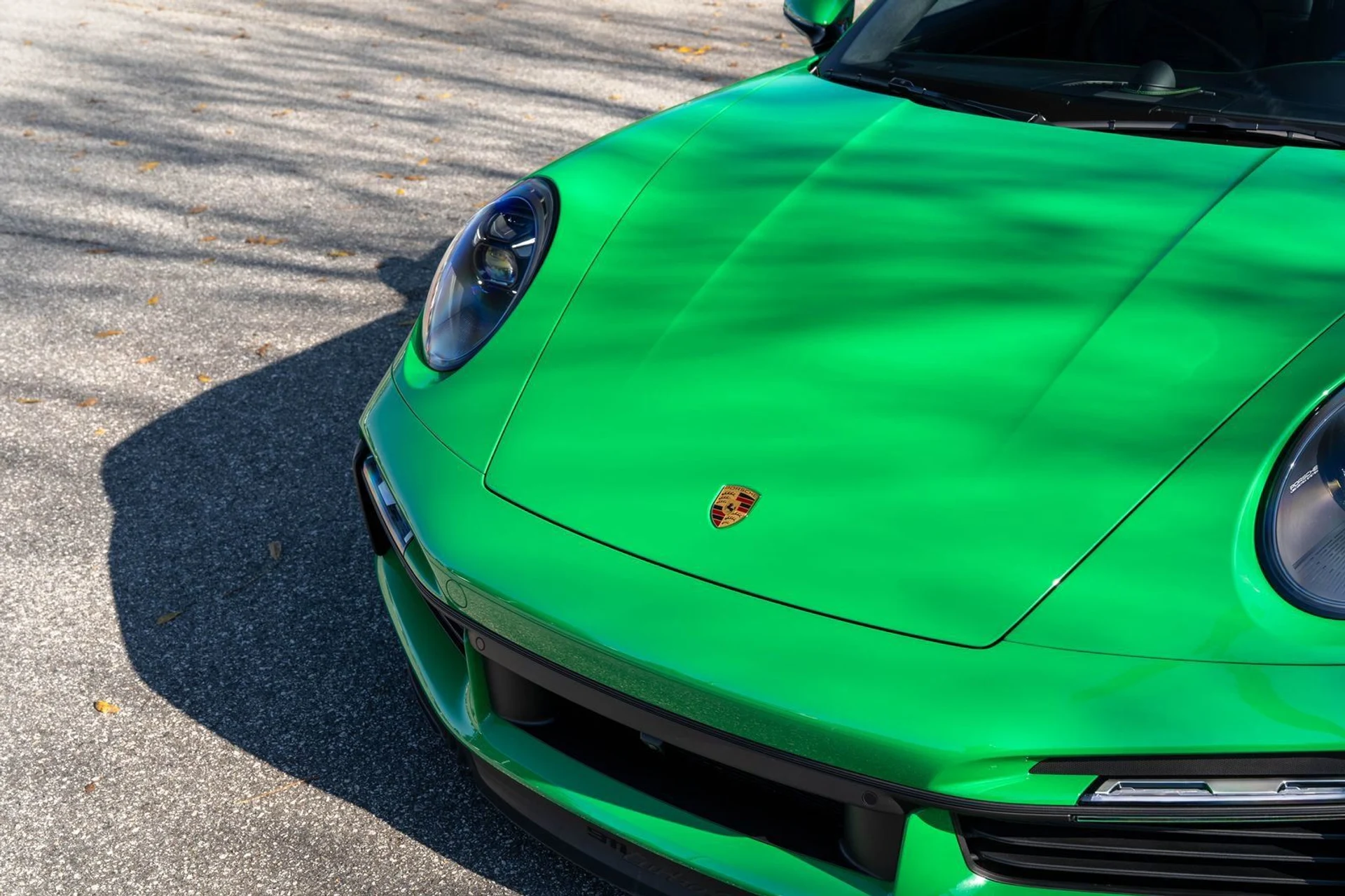 mph018_661586548_6c6afbb0da6af069c042562bb0d35228_dd71d13b1d