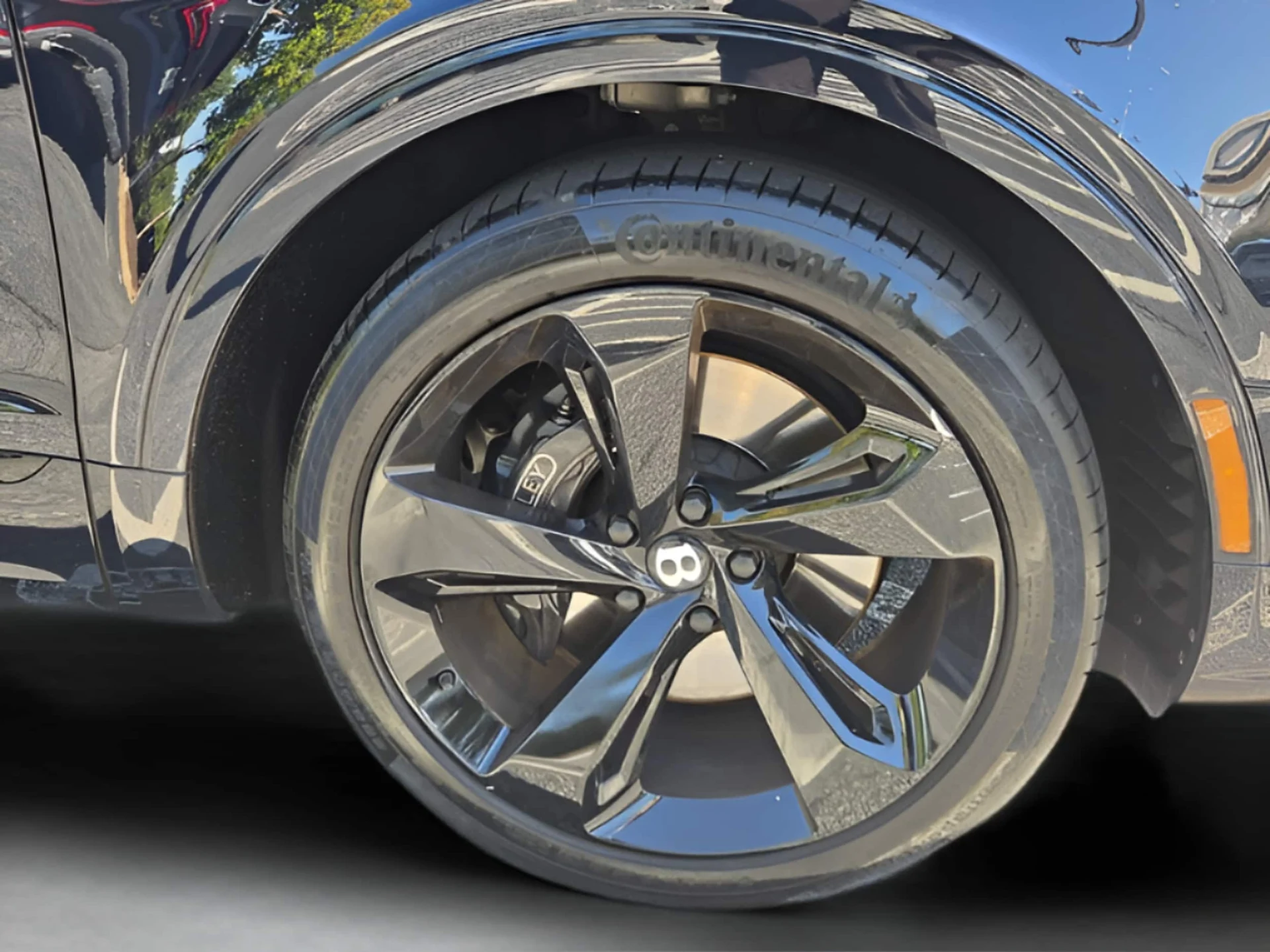 mph018_697930389_d7465f3fad9394b0f68ef89bc7ecd986x_35634b0a5d