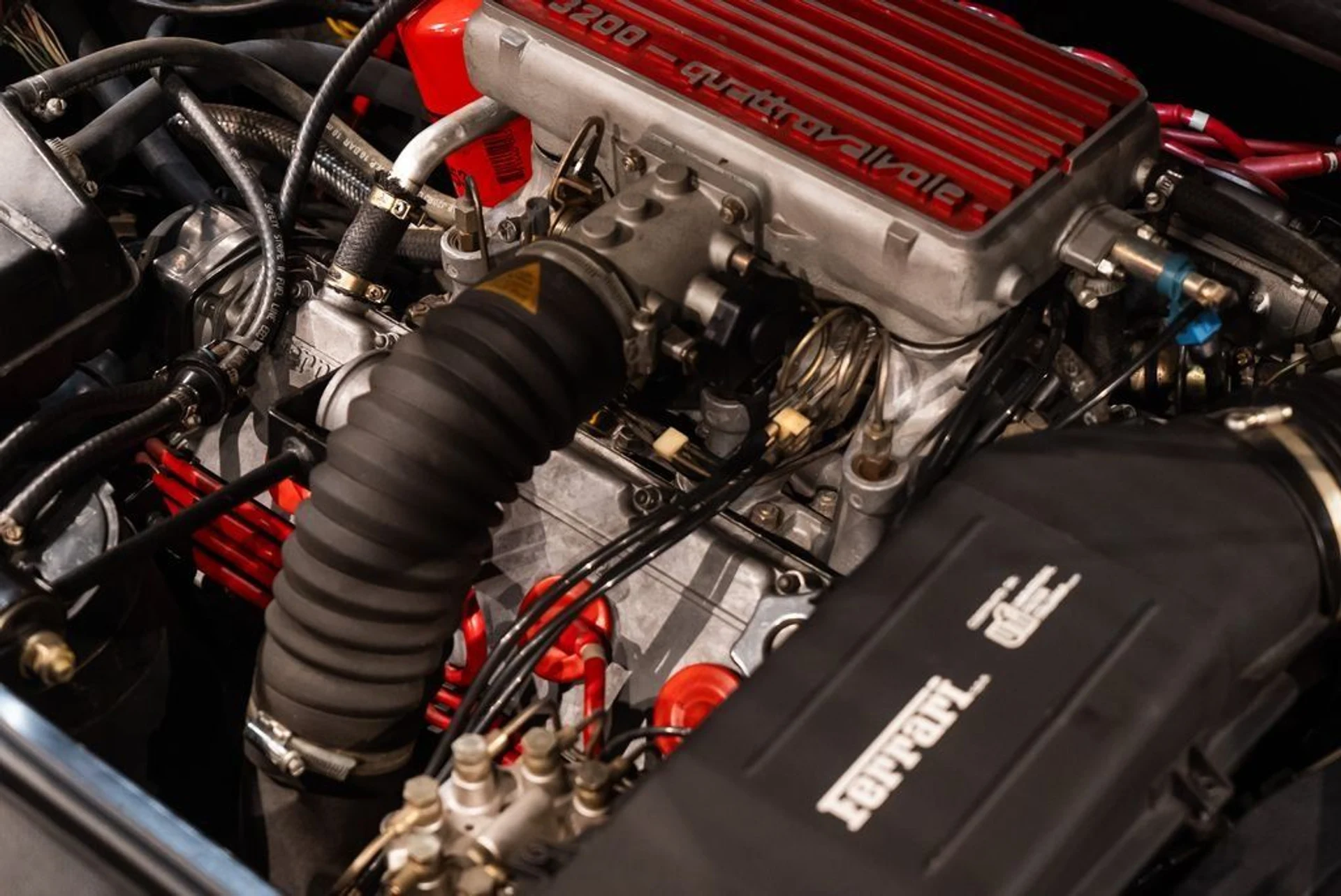 mph018_773903184_c6c1aadf08ec048ea53ce5c0e746b75c_ee71f99a88