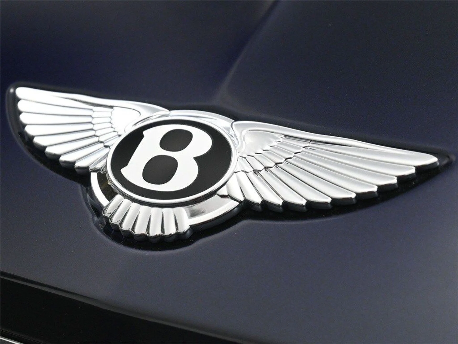 mph018_832563932_2a022eb43585cb2d1ed2b9920b939c8ax_fe4b86dff0