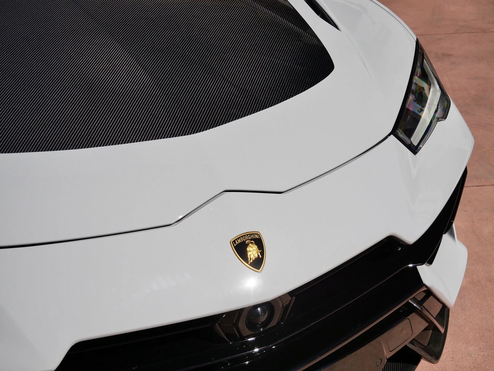 mph018_893531532_99223e9b862ee33297d63783a2de7b3cx_3679dbe2f4