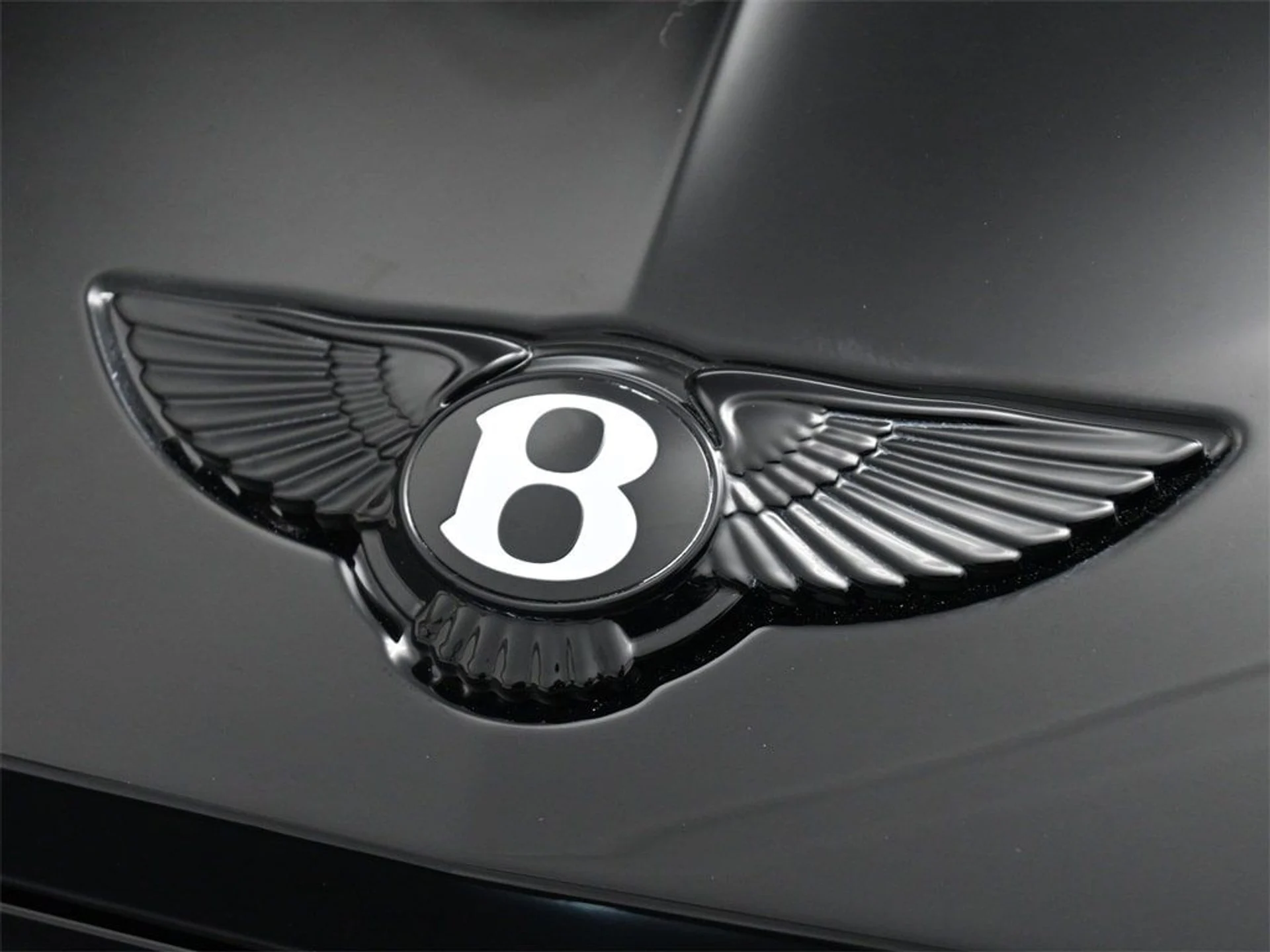 mph018_918948466_85841affa454355caf0b099d5a665f97x_f35576d955