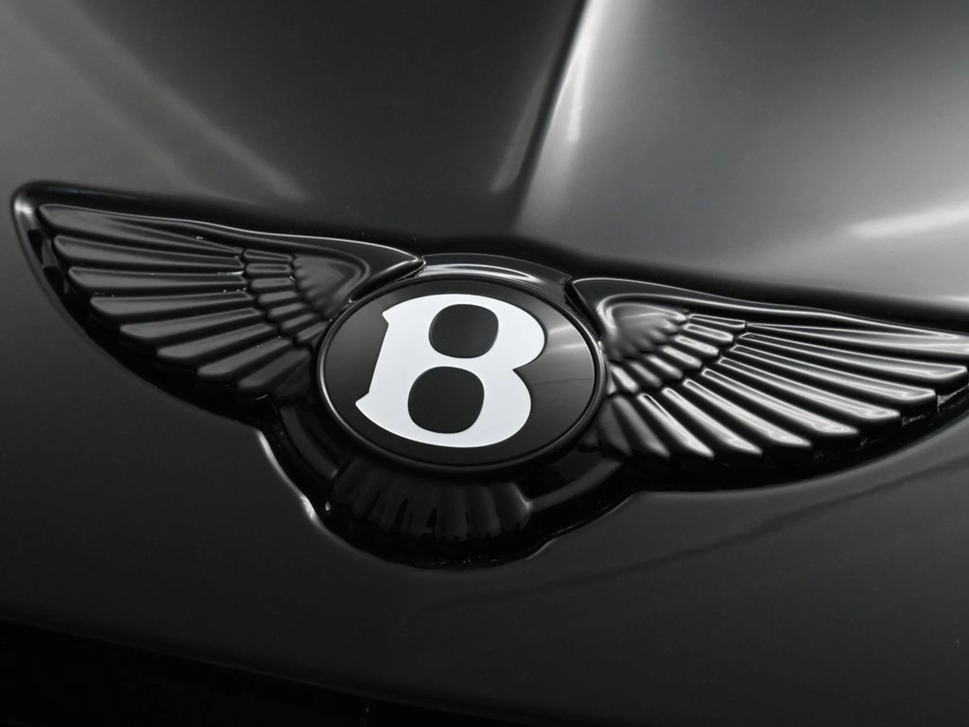 mph018_932718495_6892983c3b3a7885768bd00b68c738e7x_1adb67f5cc