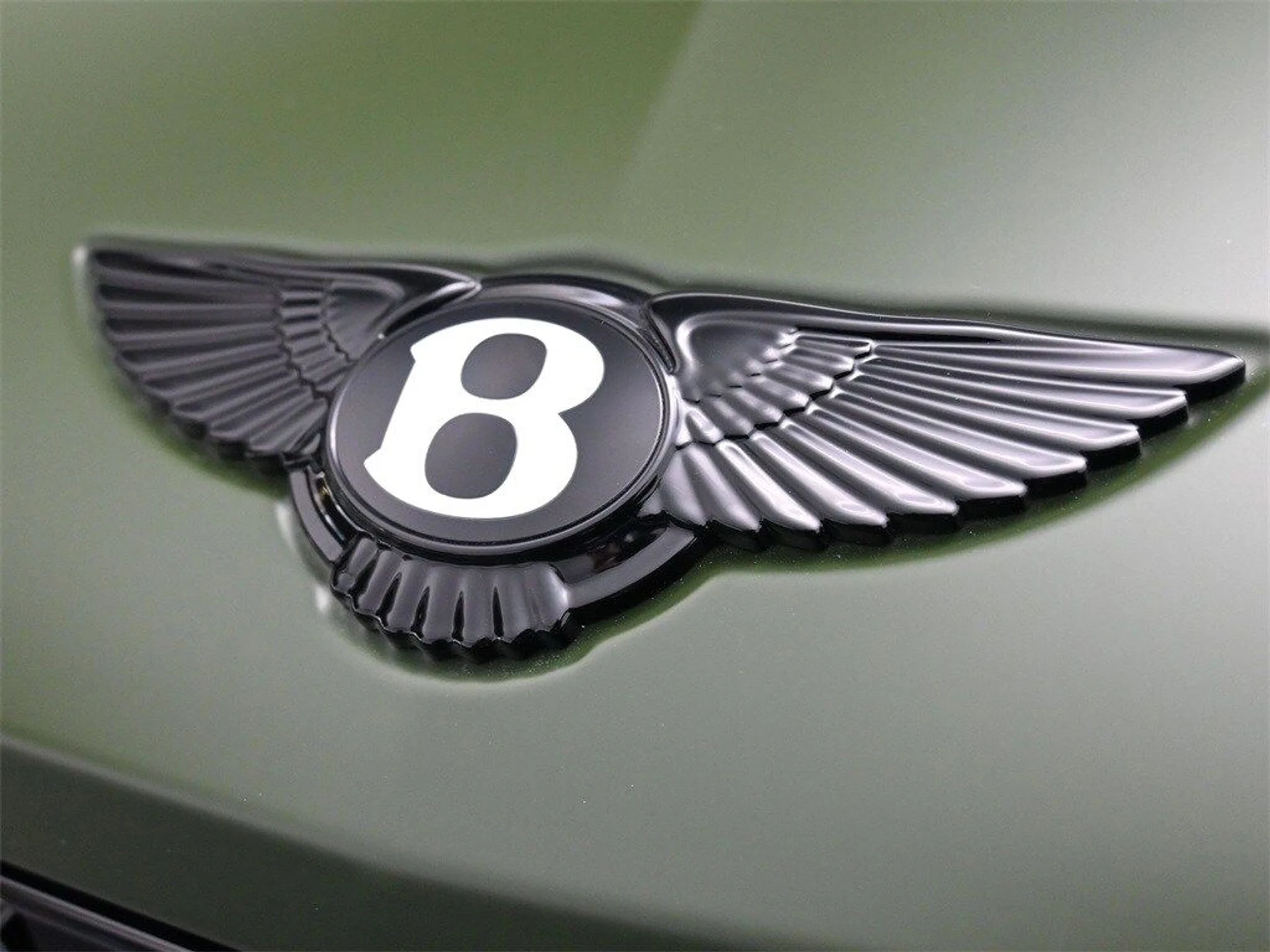 mph018_947169894_e2ef177f2f97b3696f51038c73092b86x_36ee123fb8