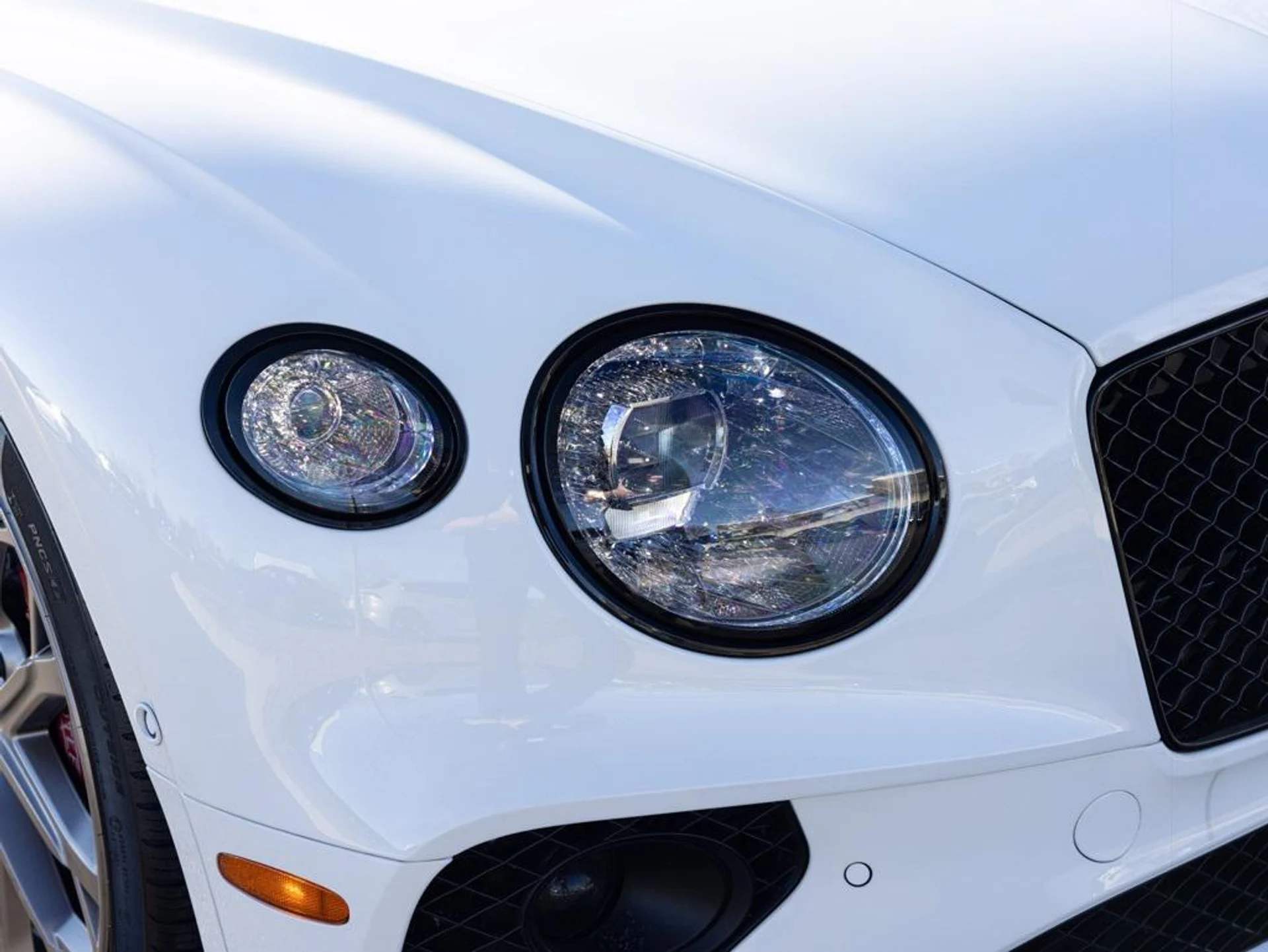 mph018_974324876_488810293_6969d33f4e0e5eb81a315c95_2d4b91cfd3