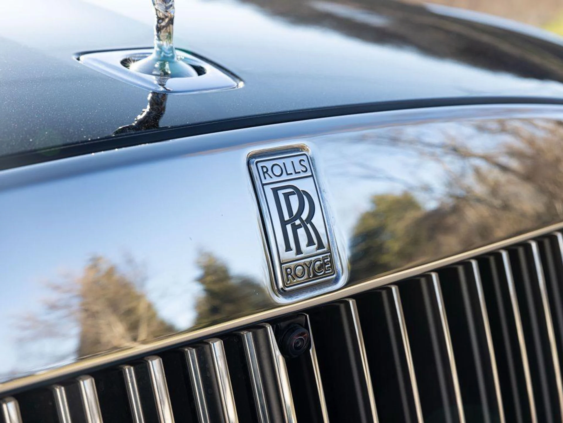 mph019_1361280941_499801363_69a45161ae5c6c0dfd47f8df_36b52267c1