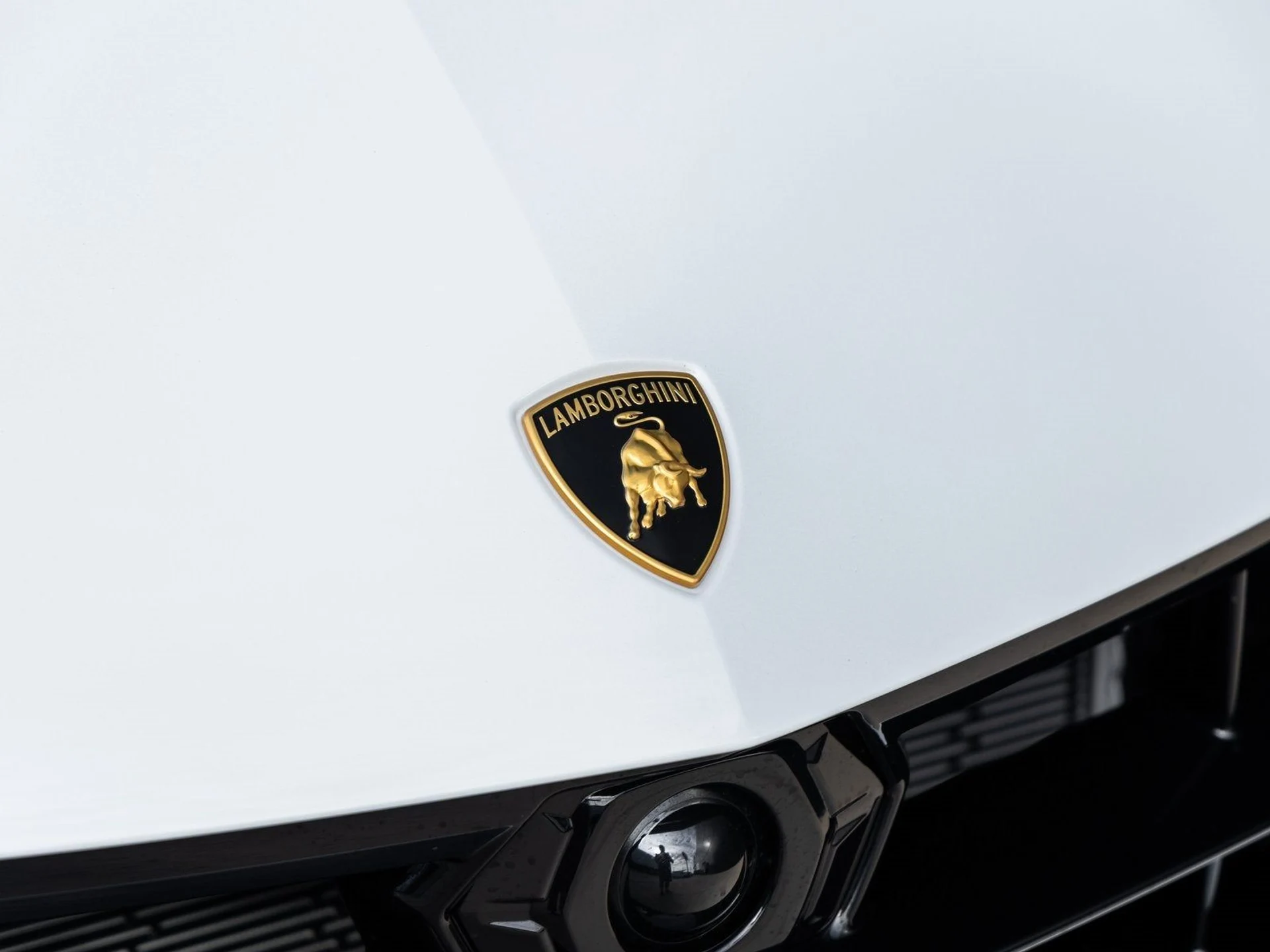 mph019_1425242485_20_6096267042