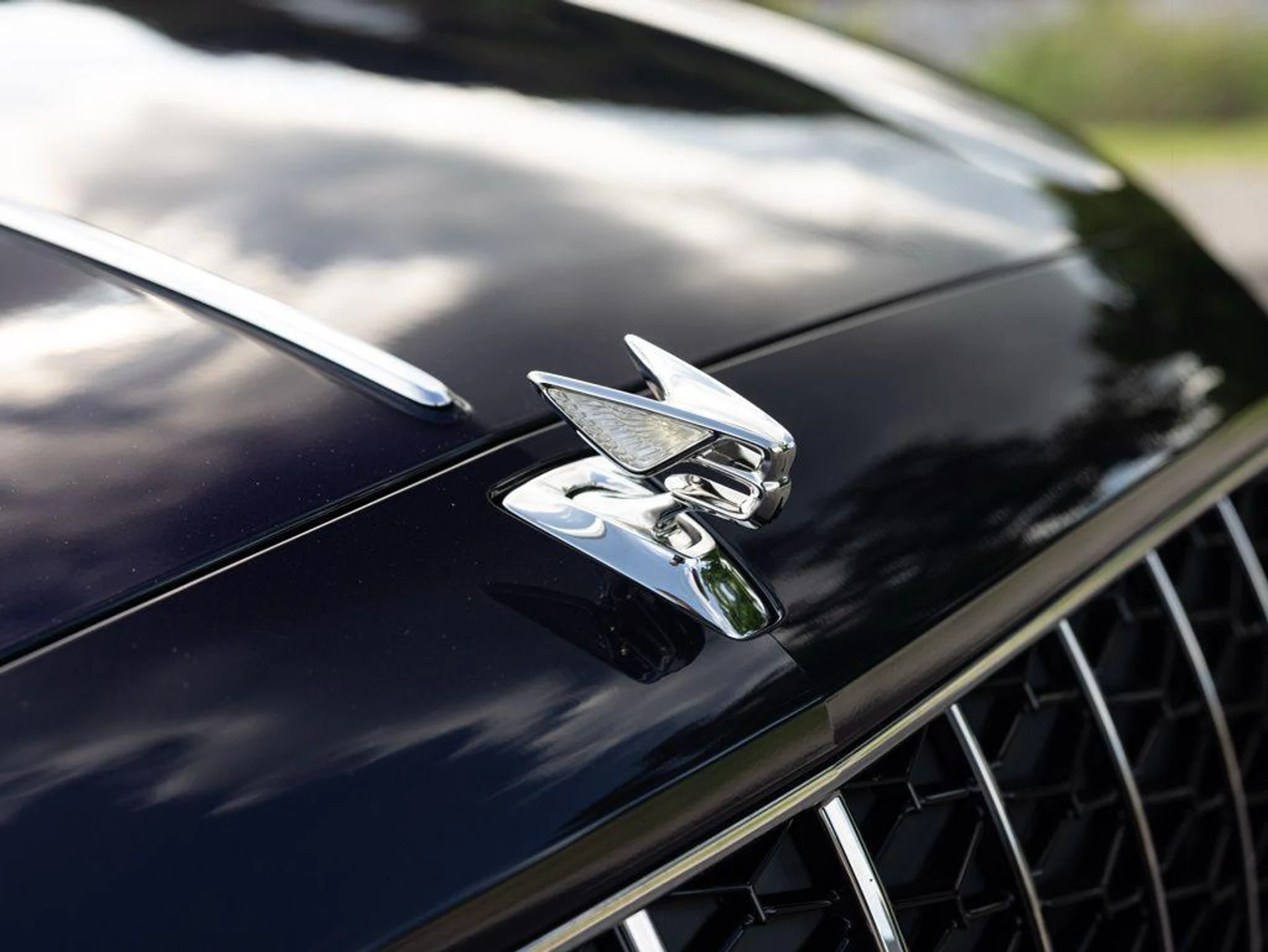 mph019_1426485961_515382885_69f3603d087c98a25cbbb457_fc8273182e