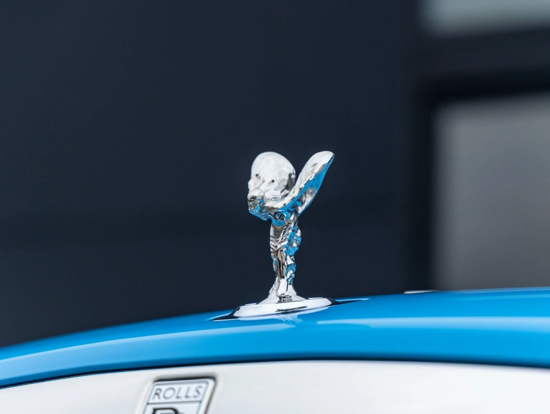 mph019_1478851504_20_c3229dc860