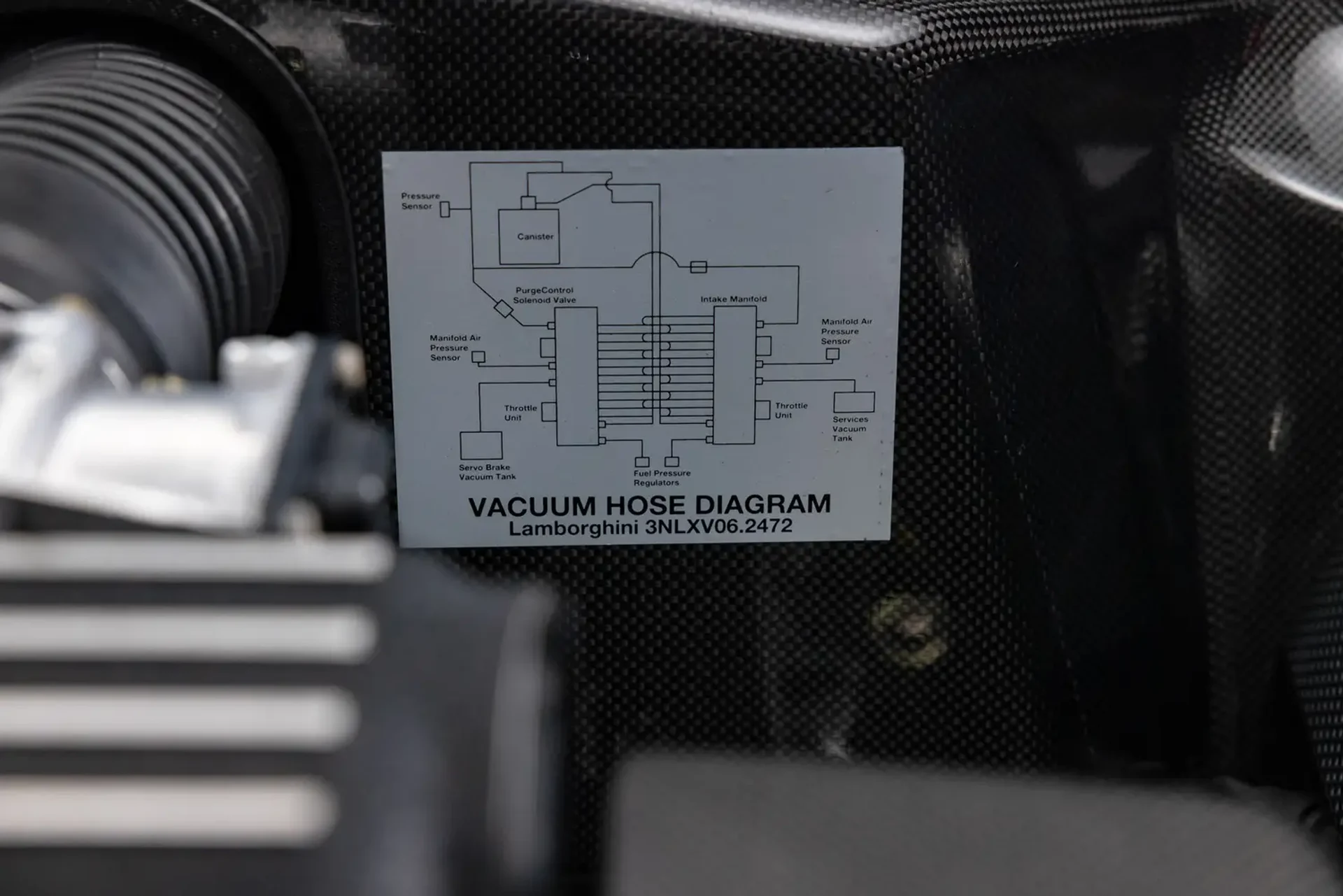 mph019_1563188784_68e3f29a84500f81b6b0a784_gallery_image_19_1759769234010_174eb49d9b