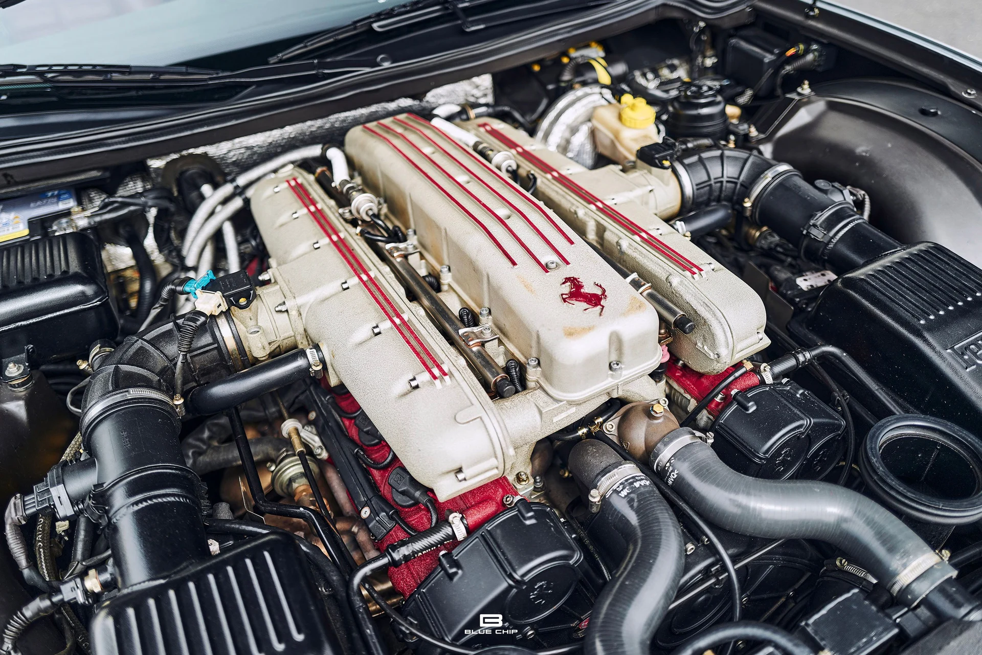 mph019_1570969447_69b474a6c42f9fdaad26588f_L1190485_dcff8d5961