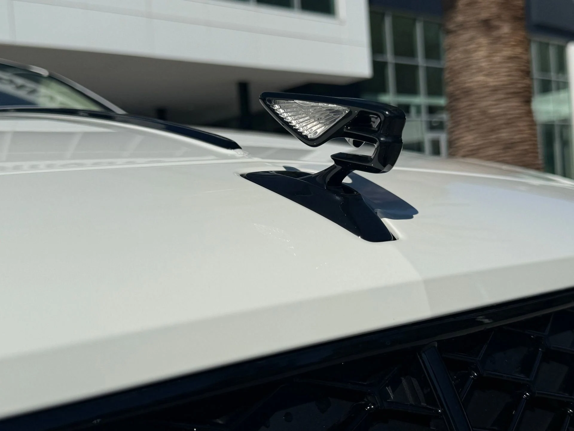 mph019_157162360_d2f42670cfe6439cbbd6d68b19d15a1b_2200ad8657