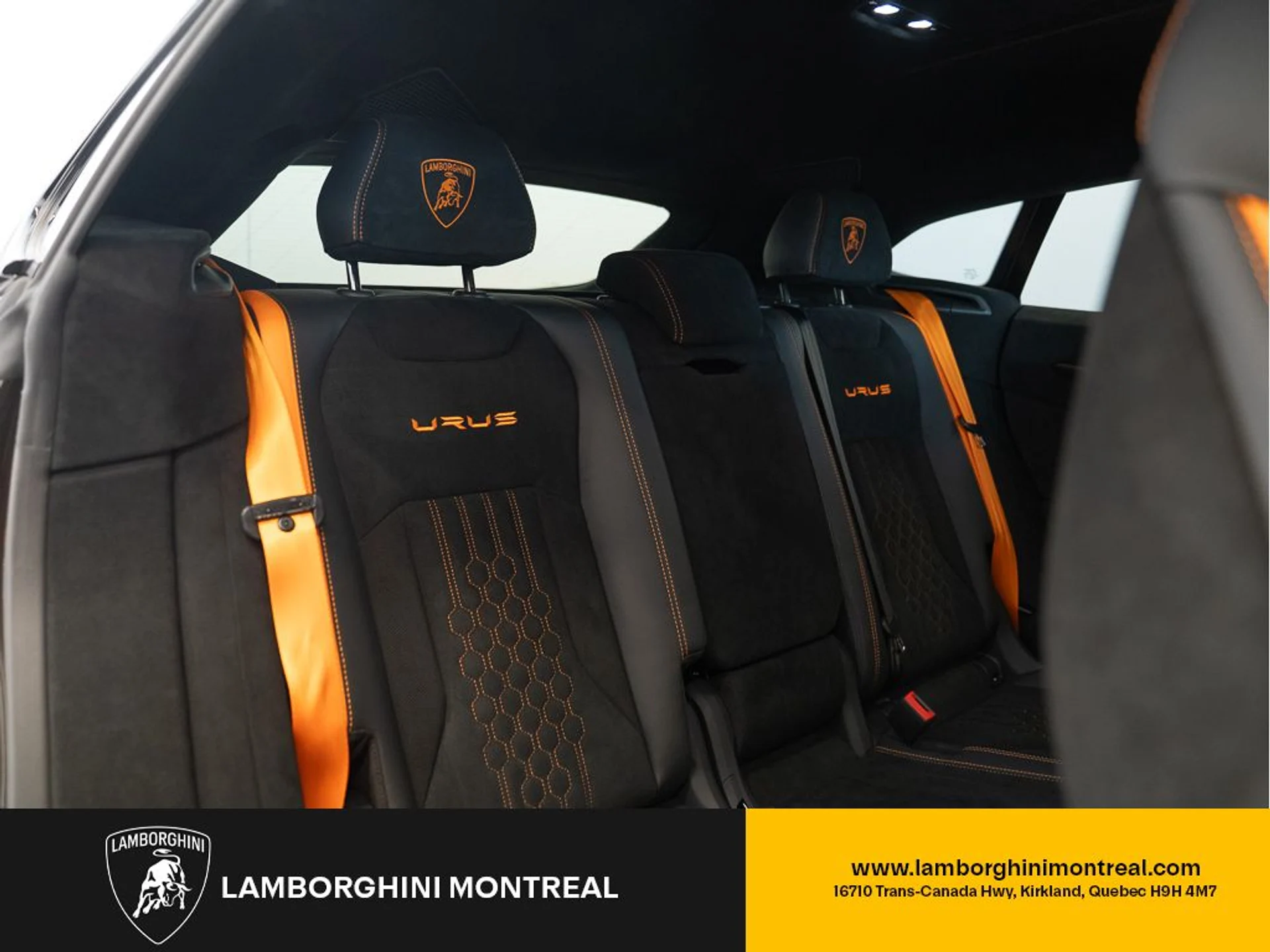 mph019_1627535216_jpg_v_1772496892_82c59a3305