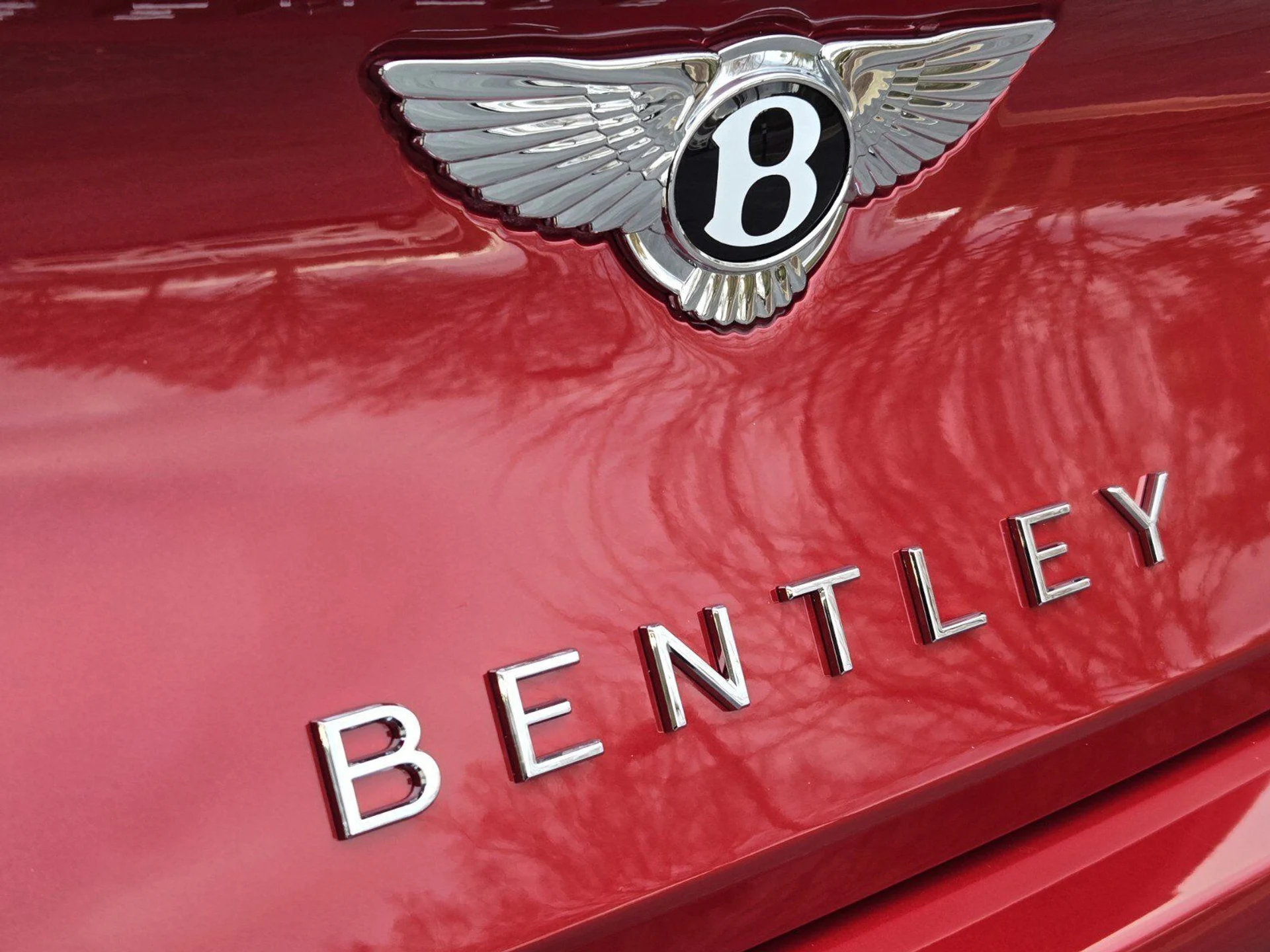 mph019_1698312665_02a07ea655c6fb757bb7eb1ef5cb3acax_f502c58812