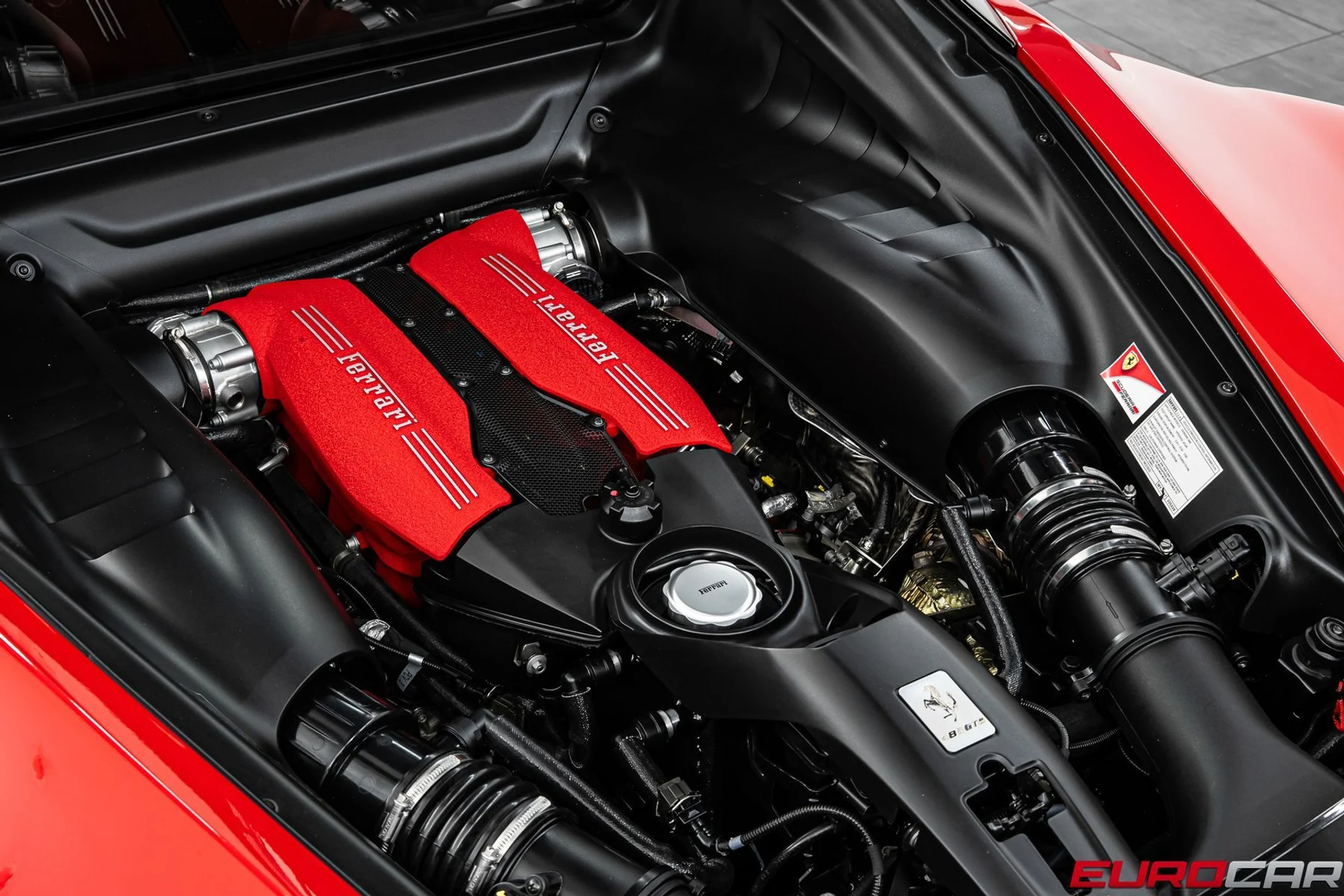 mph019_1707222474_58978dcf_1002_4234_81a7_2f358b9b537d_5be78c2f77