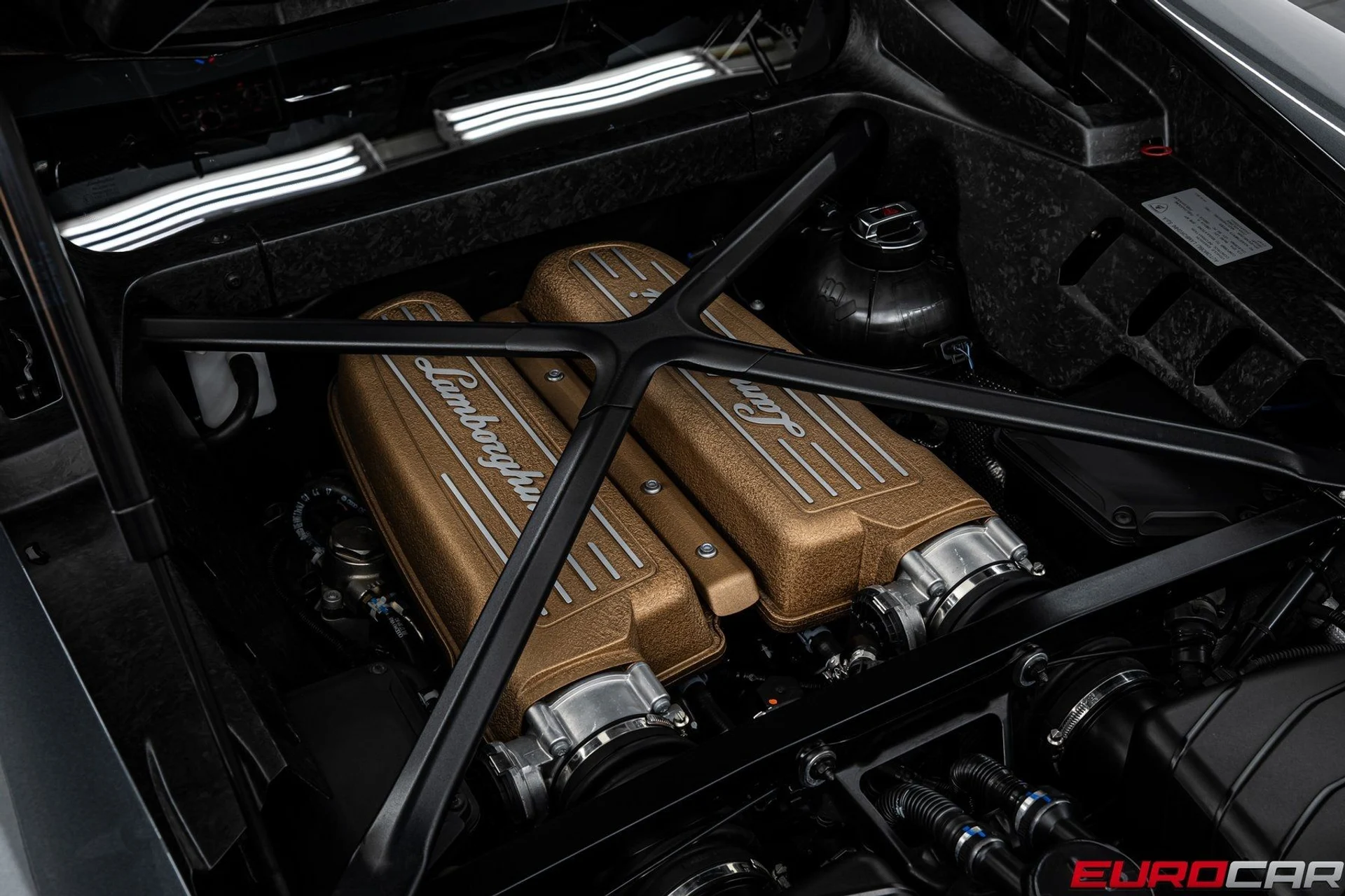 mph019_1837881627_image_20_84d7d081fc