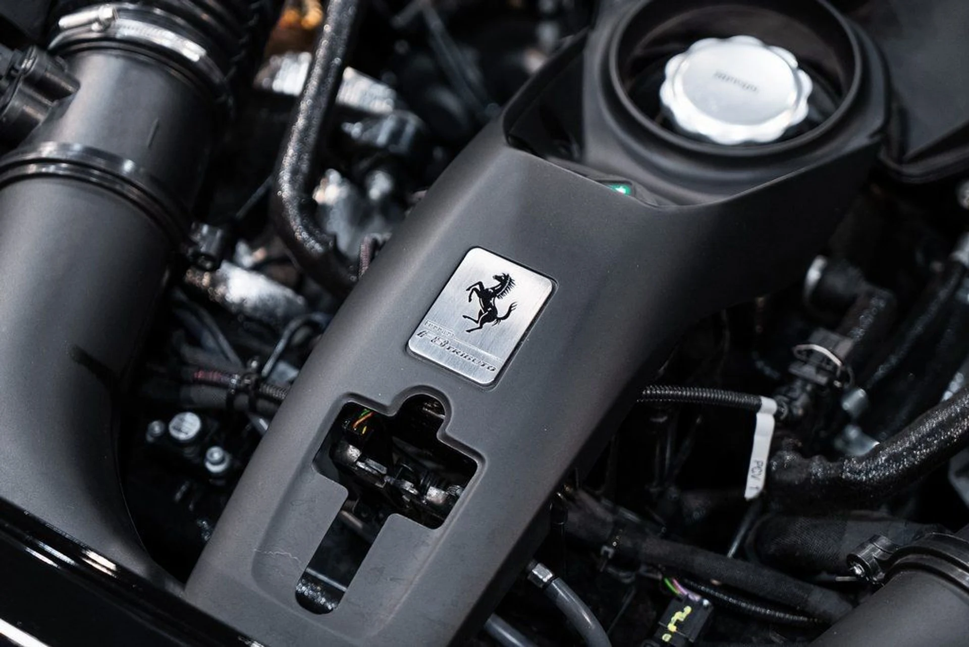 mph019_1840661497_7b1bd9fed601a05140aa54228939655e_51310ce776