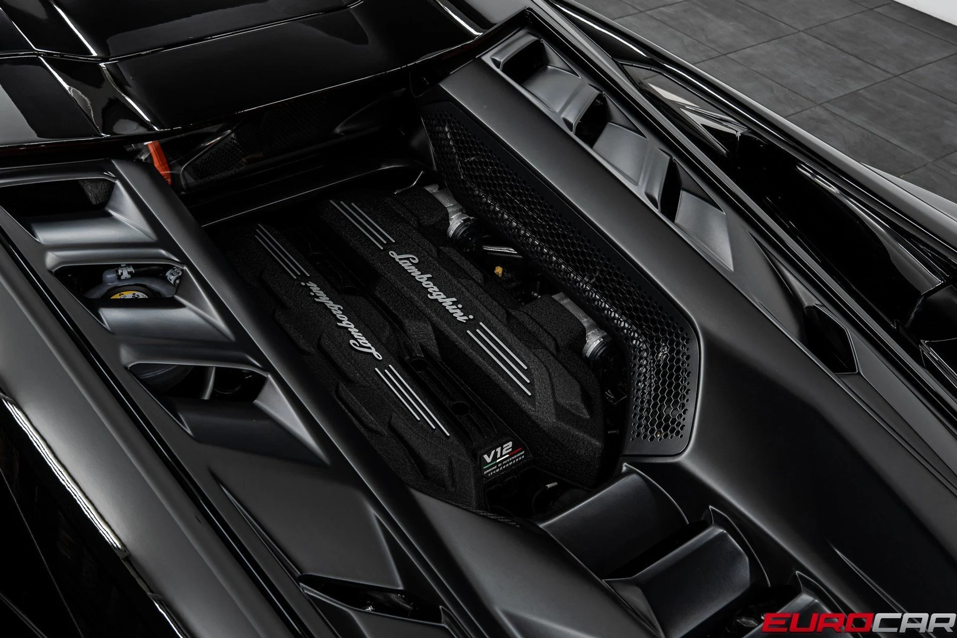 mph019_1859738091_f6f54627_ba54_4dac_a04e_95cfc41deccc_2844f56a45