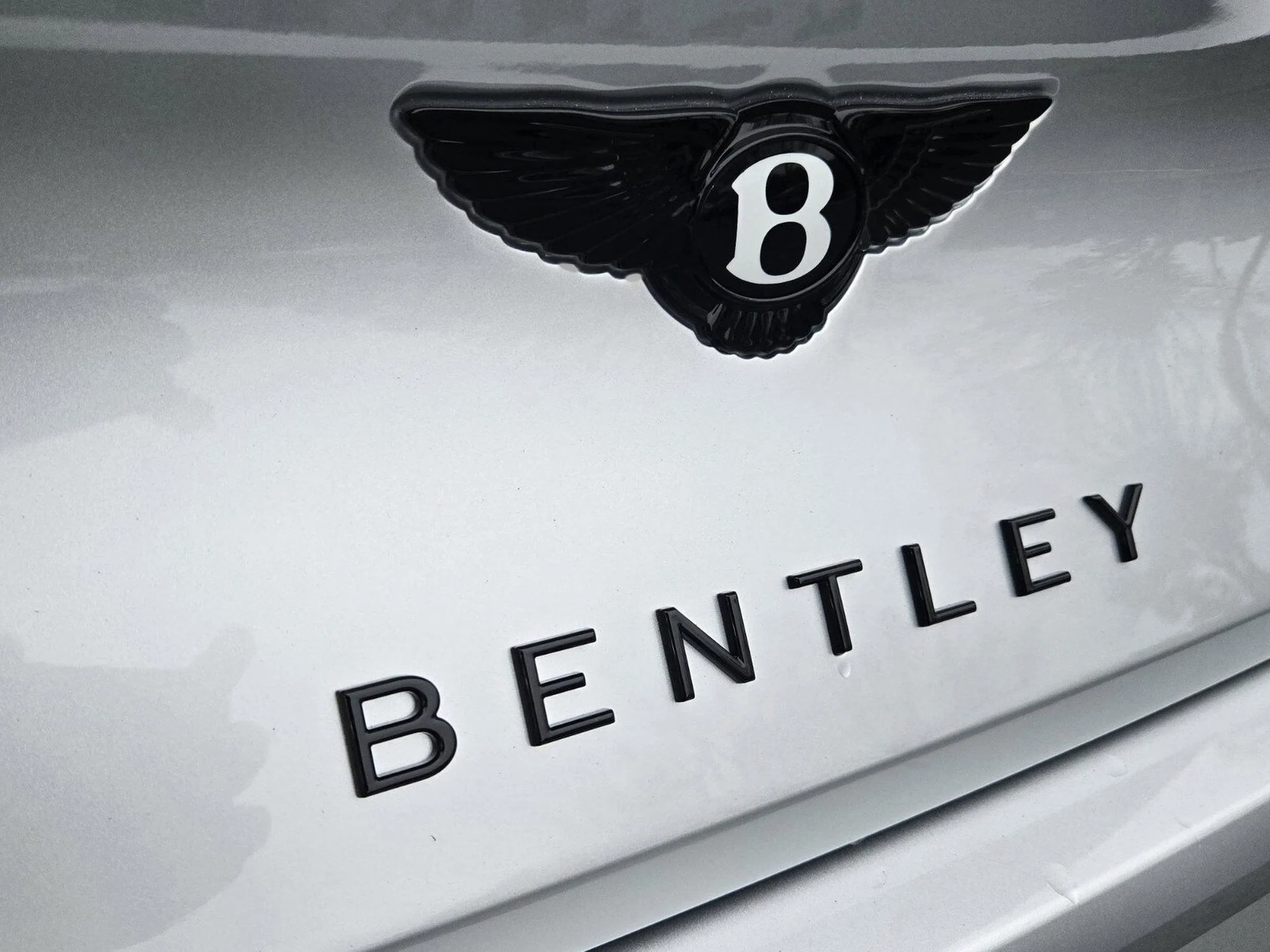 mph019_1865729033_fb6637e3c28149e92e54a7277536616cx_9aeb9ae652