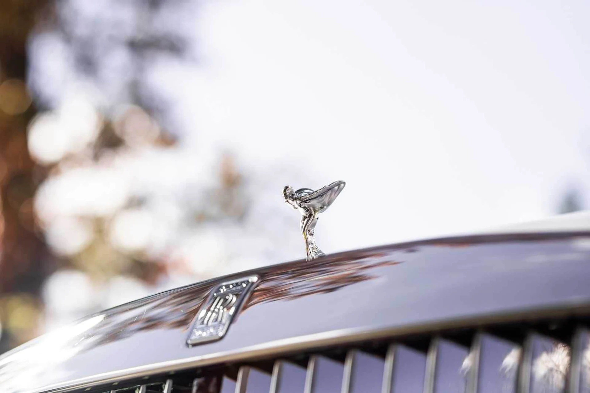 mph019_1882587905_2366bfbbd637a39f598940e1fe6d1be7x_a5eb4fe2f6