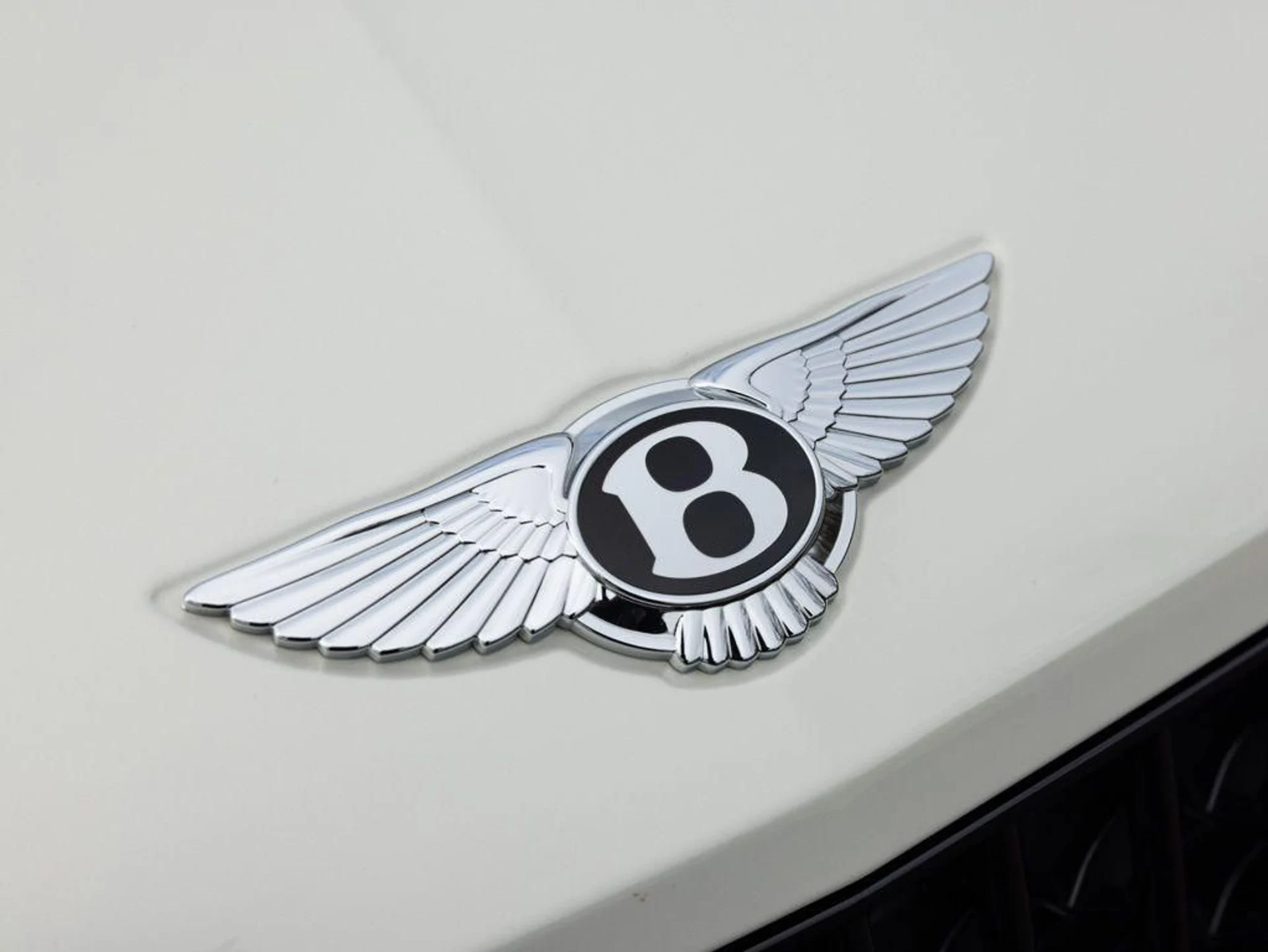 mph019_2058444131_492619448_69860430180868074e36c699_ee8eba4428