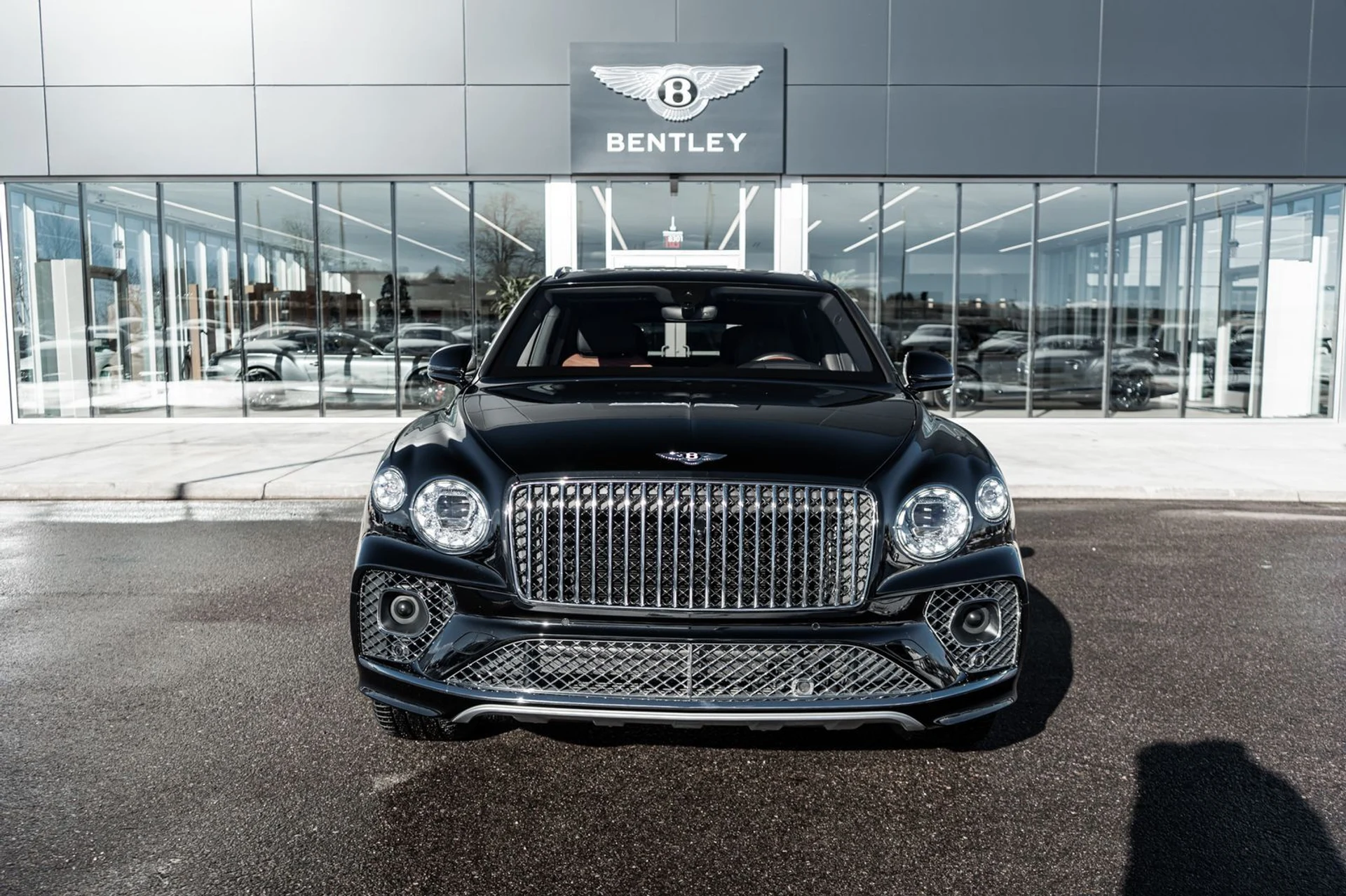 mph019_2156532170_d954e107_ee7b_4043_aa7b_02a1b8b06345_dd23161f97