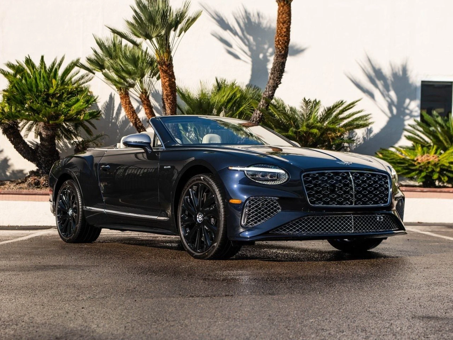 mph019_2176580641_49d5b58500e5f0a56f7e7156a8c3060bx_4c52e0ee9e