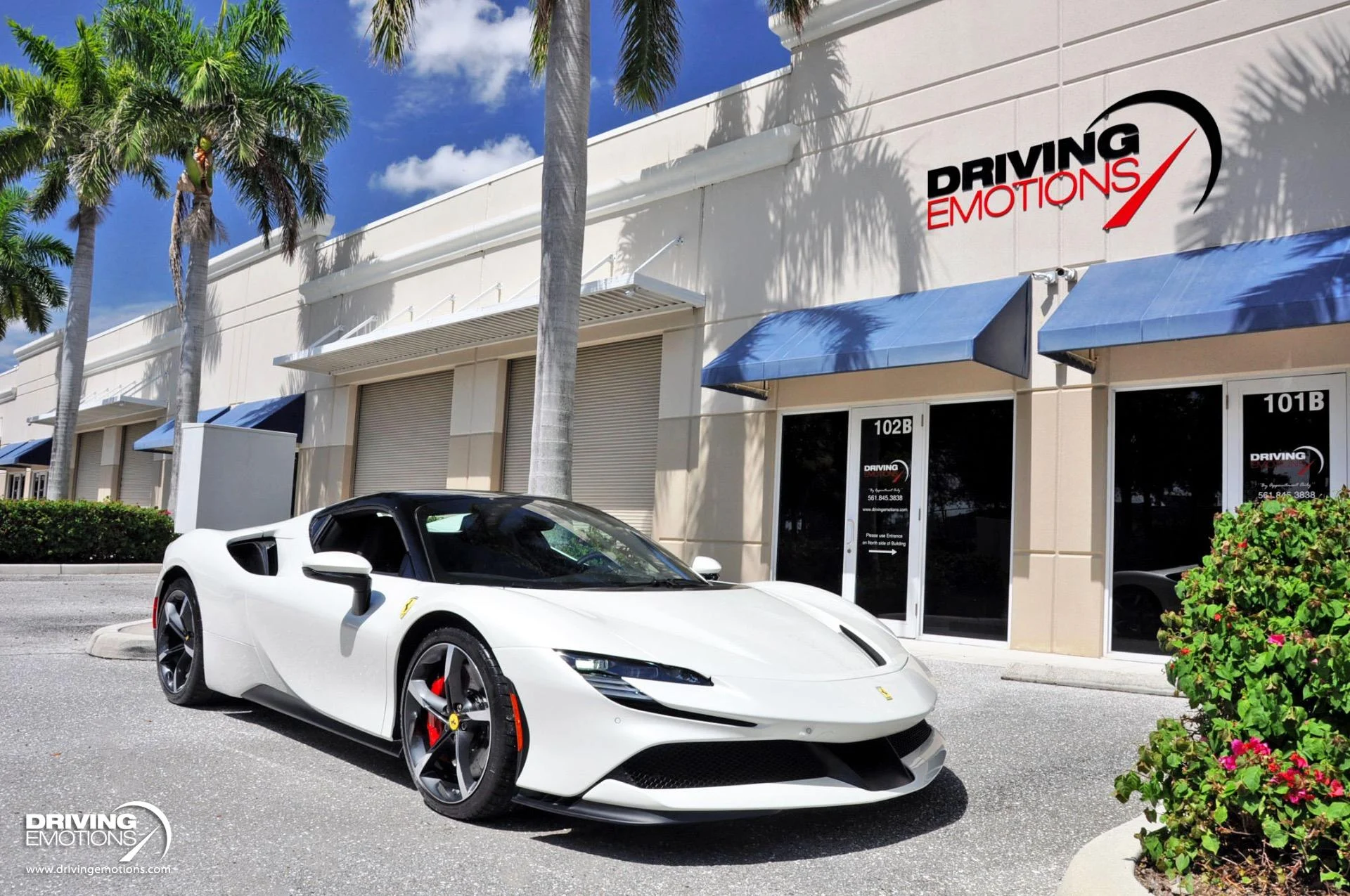 mph019_2210787726_859_p20_l_1796dd33a0