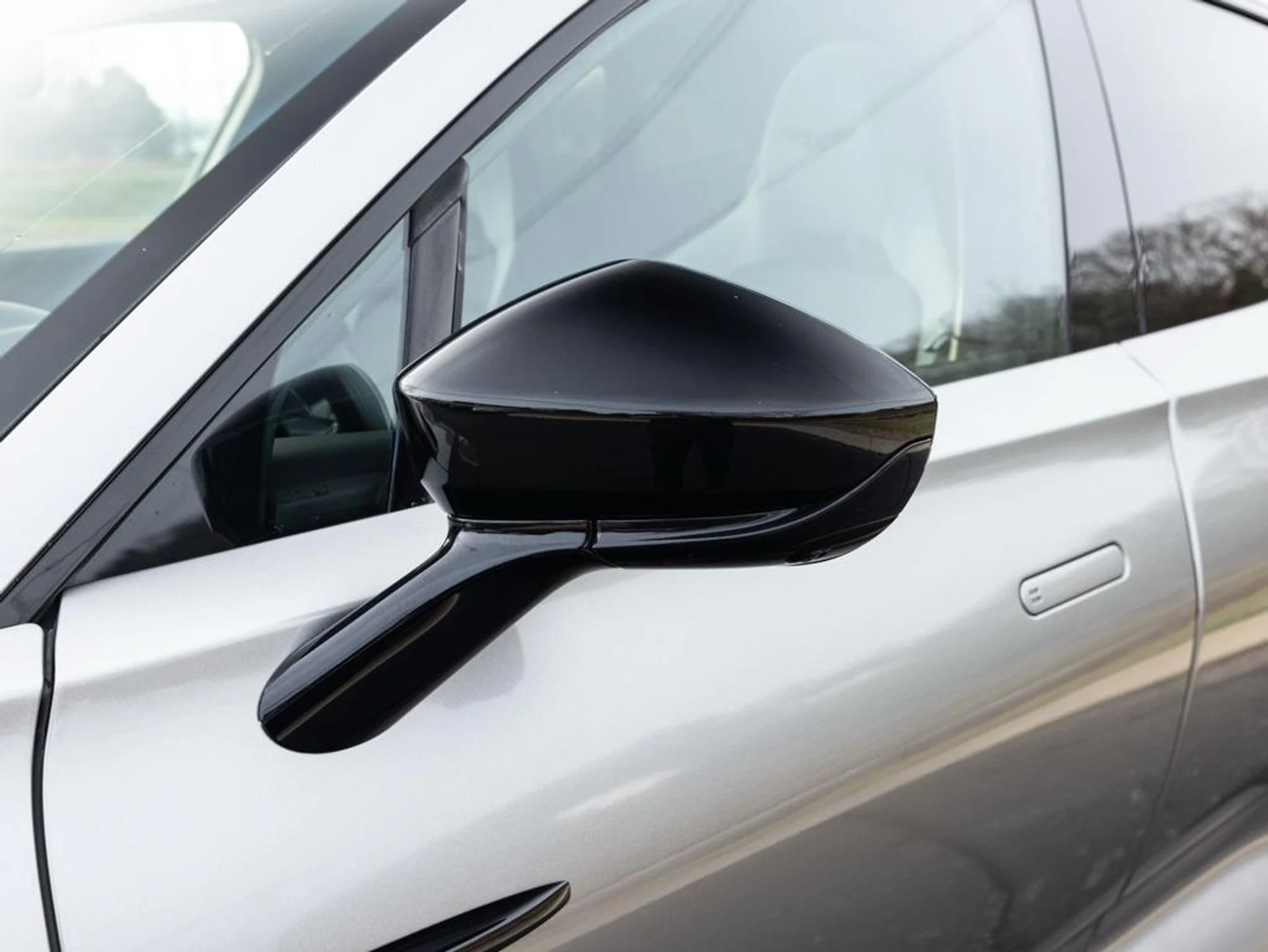 mph019_2294538776_485694452_6961409de4313c3db18b46d9_176956a56b