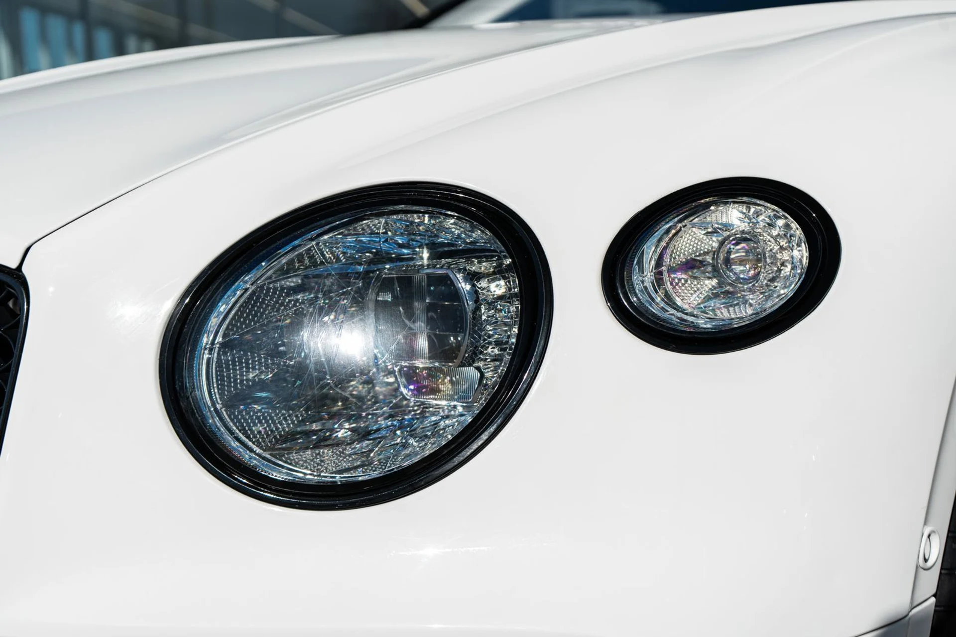 mph019_2308897494_76bf34c6_3b2c_4a9d_a859_b6fccd827d20_4338b6d57c