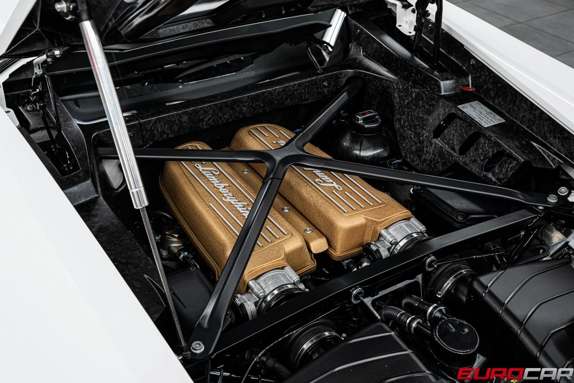 mph019_2349289404_image_20_4fcae5322e