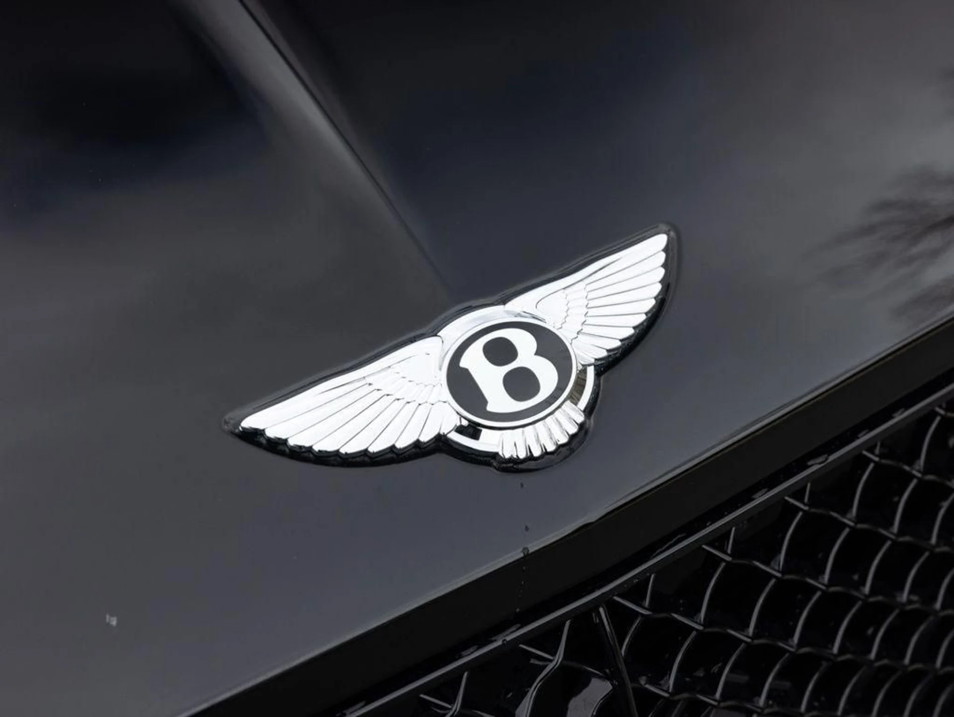 mph019_2354487368_502891109_69c2b0850101ed4b1a208268_55415ed9e6