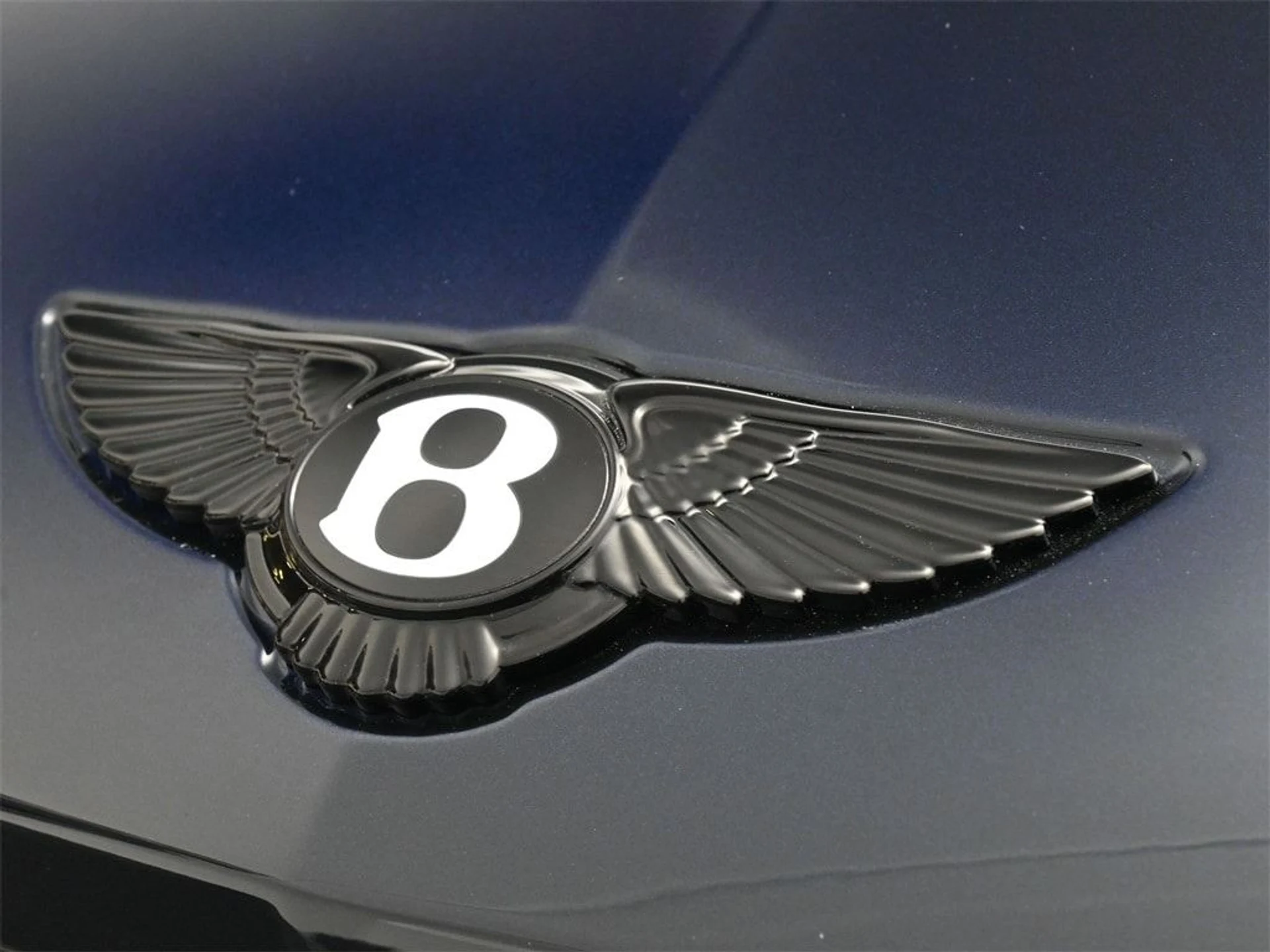 mph019_2443485079_a077649bc830fee5eea3130baf275317x_f9908d3bcf