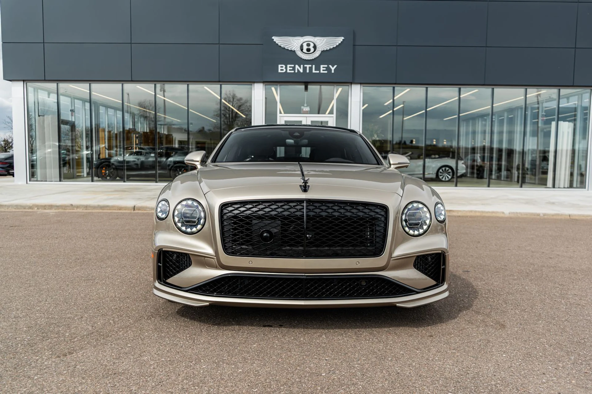 mph019_2455724795_a06afa88_4ec7_437a_a26f_a137d021b44d_519d4e832e