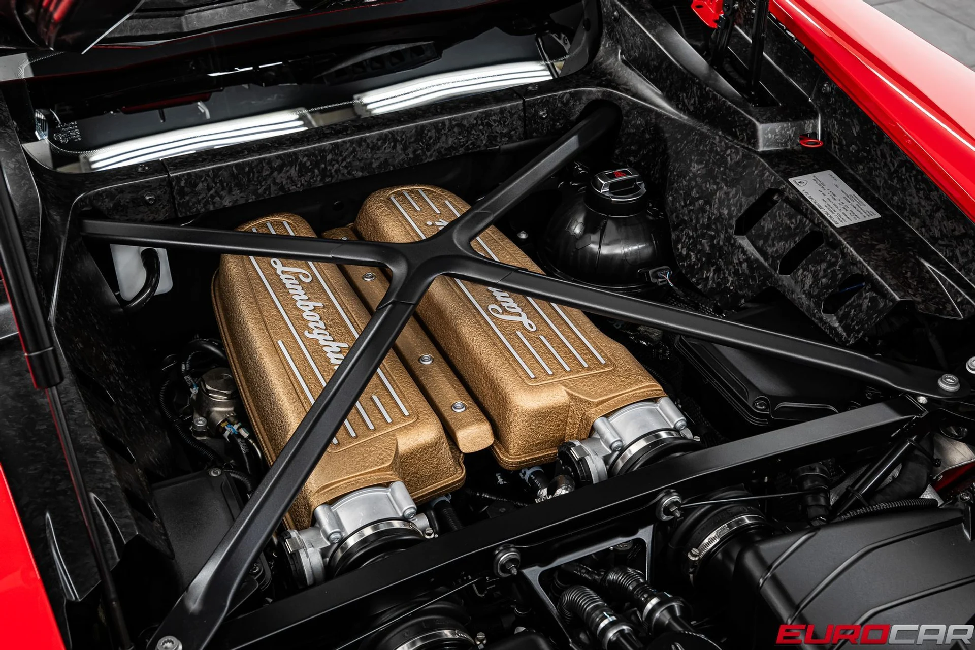 mph019_2496218072_97e65d35_54eb_417e_bea2_f529a2b41dbc_0a8a4fe587