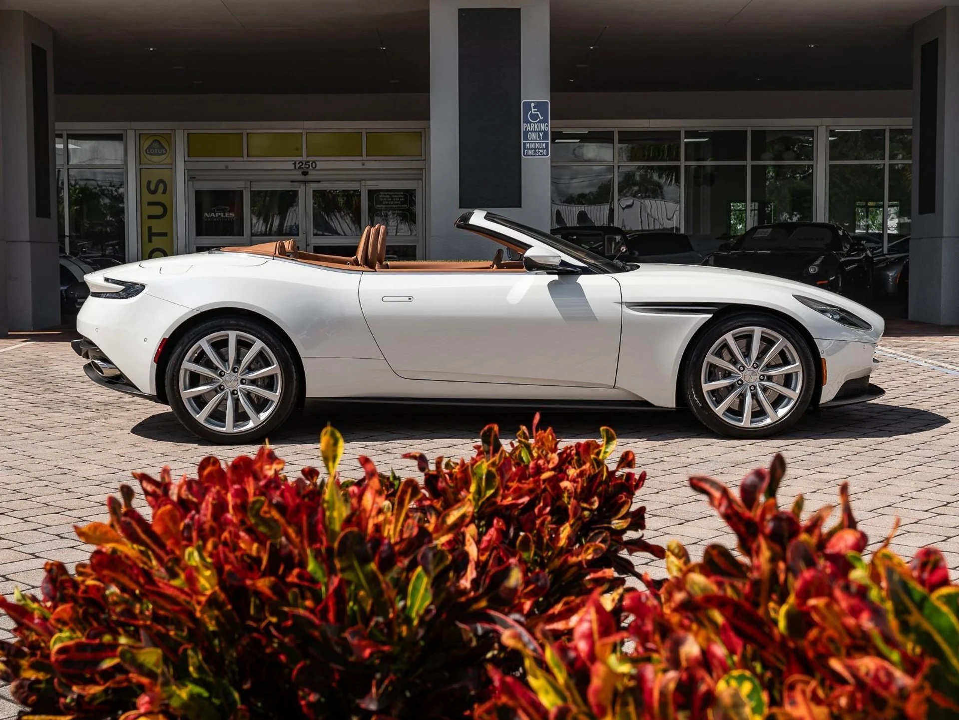 mph019_2531520026_Used_2019_Aston_Martin_DB_11_1760731538_81c22bdd00