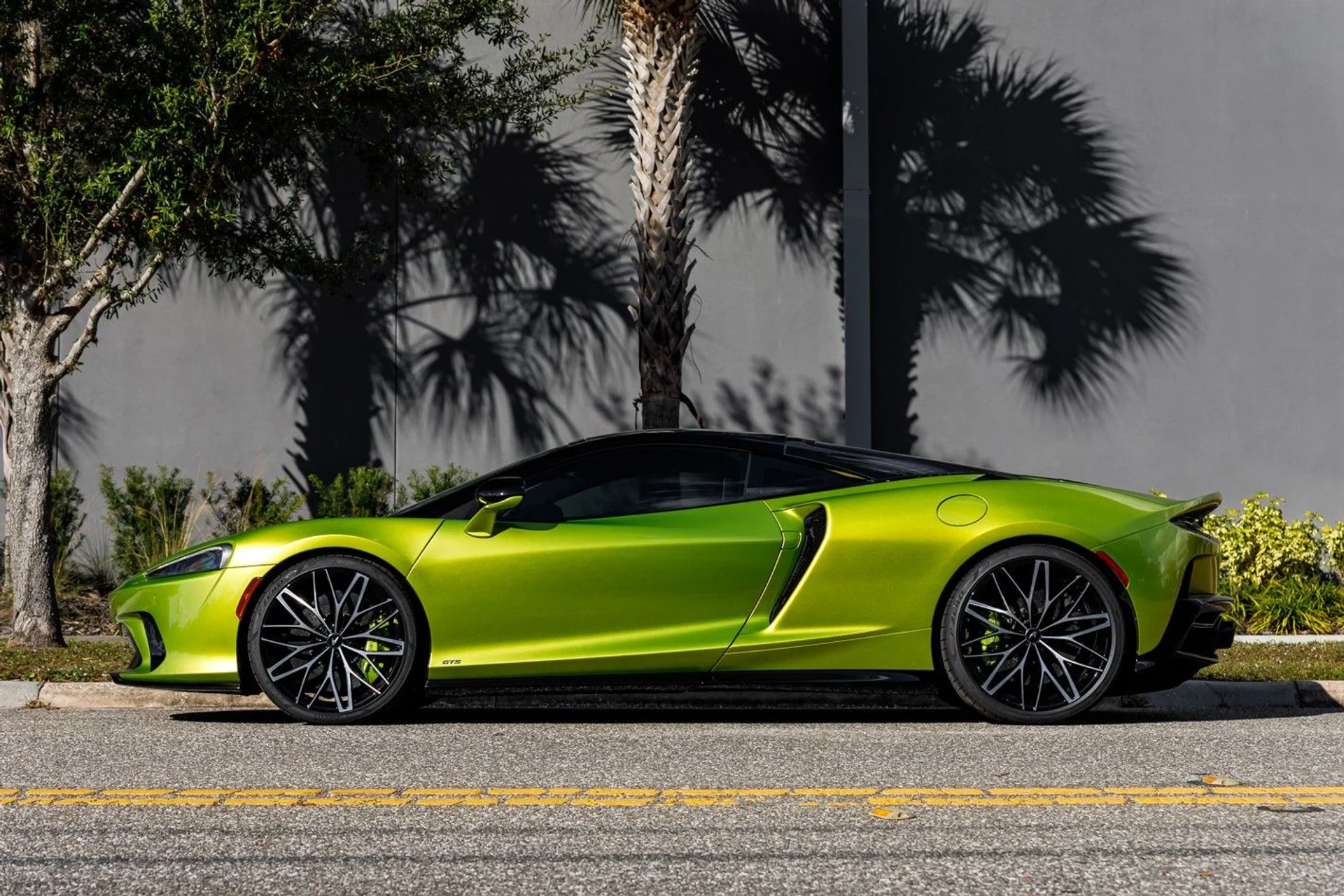 mph019_254797943_462_p20_l_c14931768b