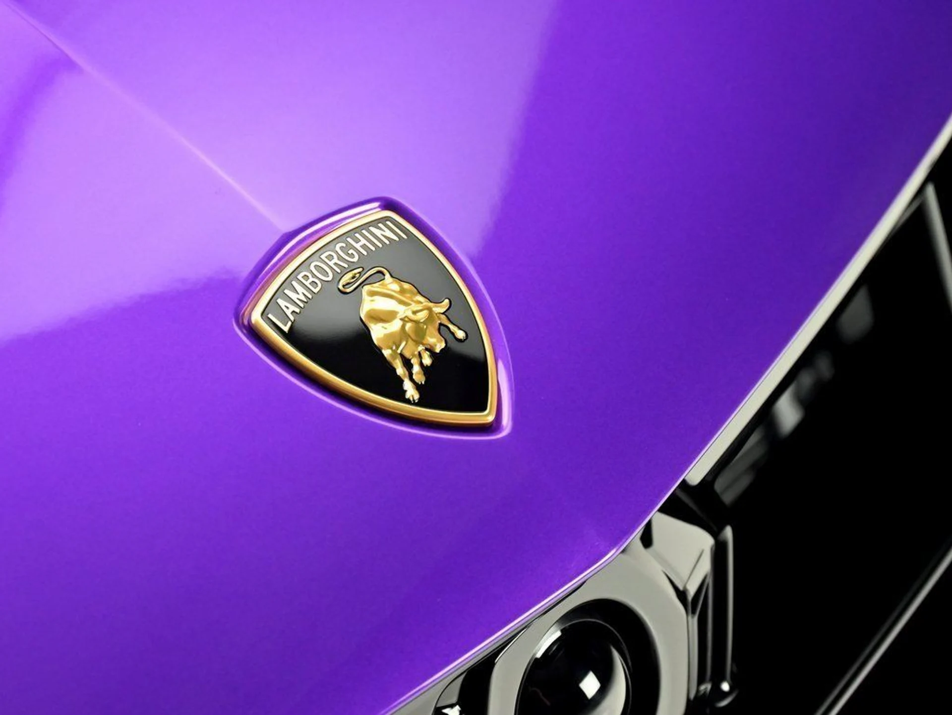 mph019_2557015116_e7a47f0d34cebd9cde0f4b4289b0e30c_de4975608b