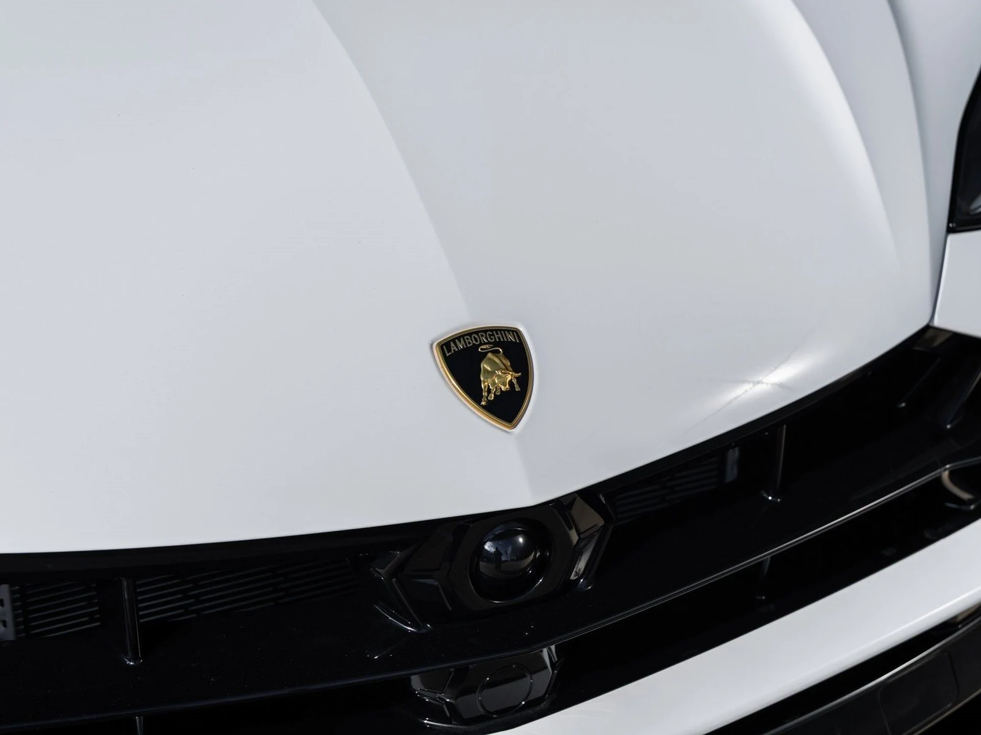 mph019_2583909603_20_39e149a5d5