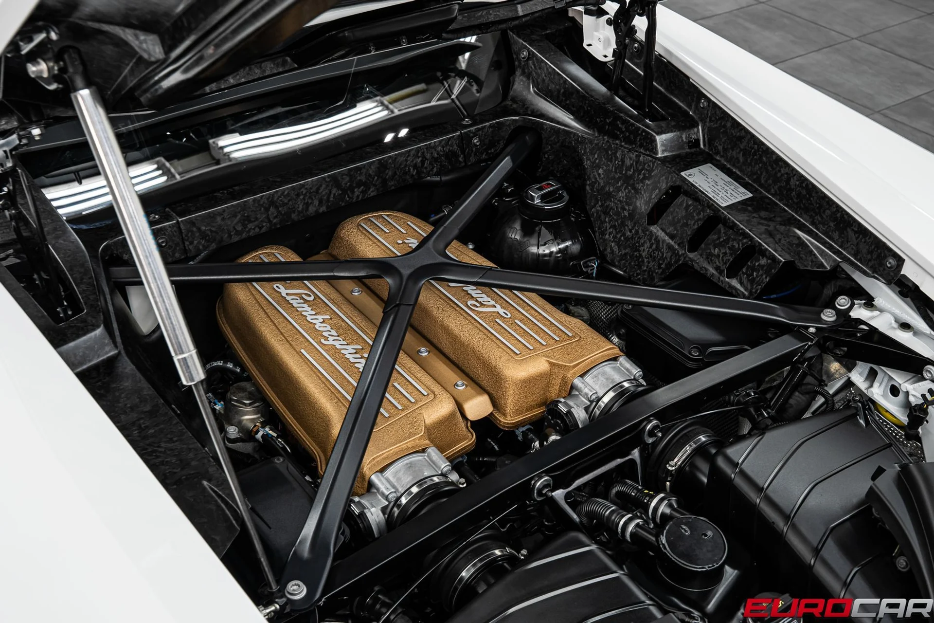 mph019_2625716254_46495fff_c600_4525_9eb0_8da8d99f30c0_ff331ebb92