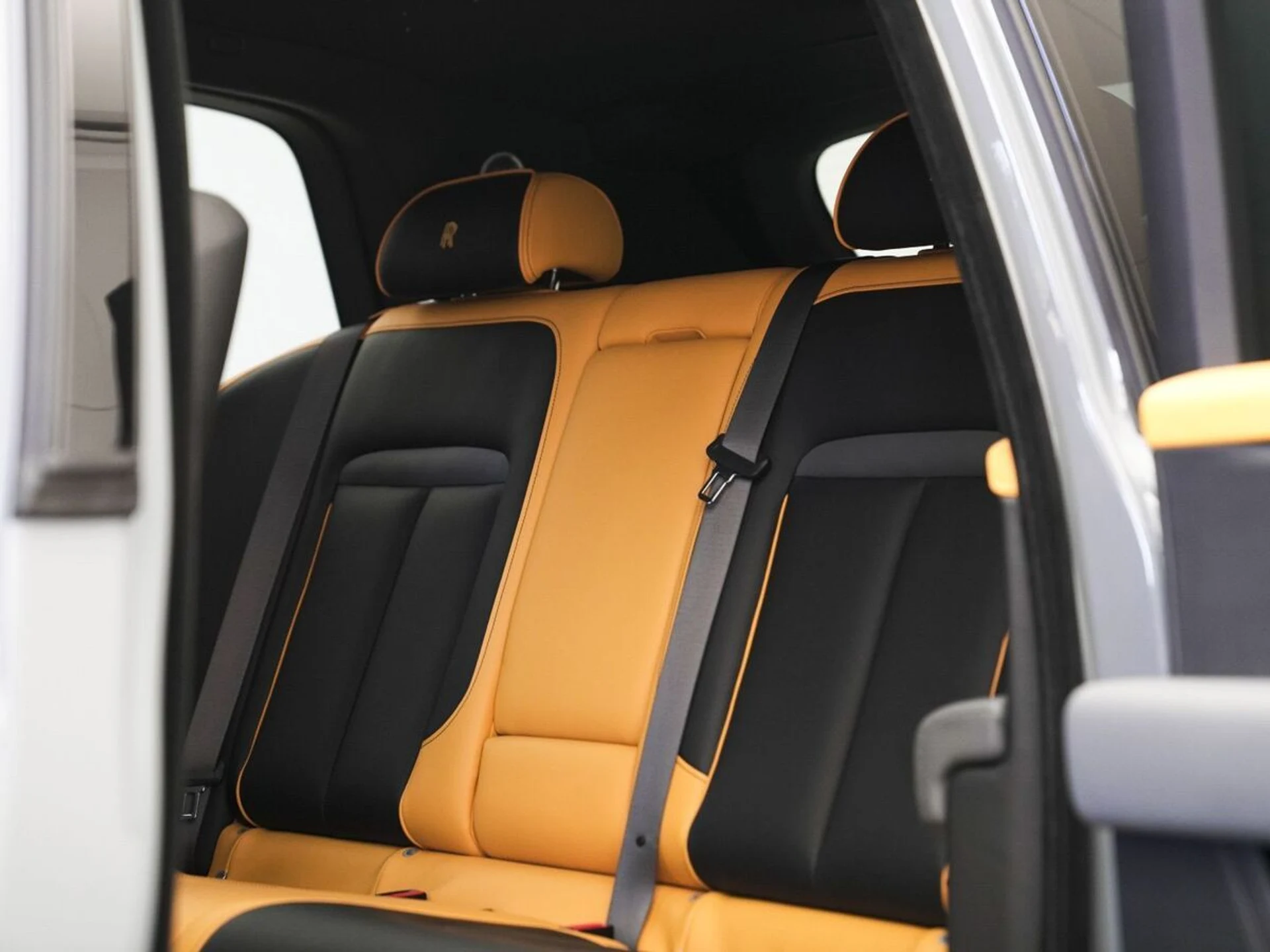 mph019_2702918560_8xt7myh3ke1ff2q1cpdwn8sgp61i_ed3bbfd1c1