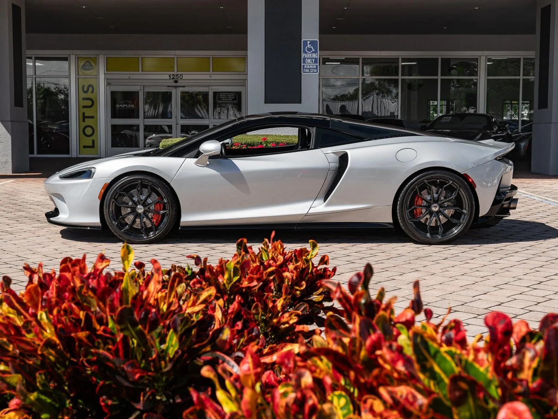 mph019_2791762302_Used_2021_Mc_Laren_GT_1761253599_2196002888