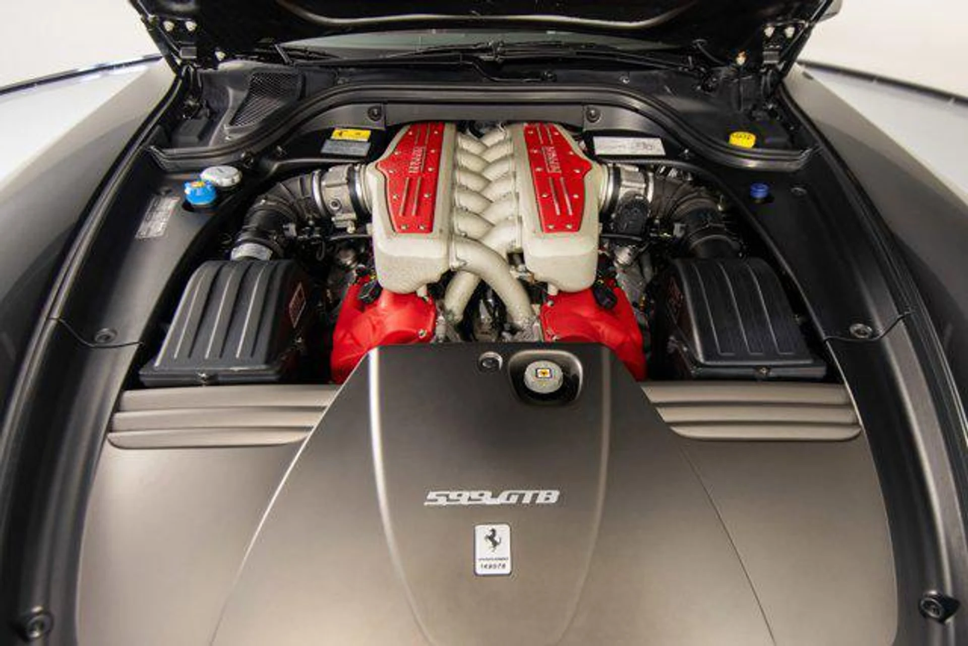 mph019_2791915033_qf_DG_Md_S9_V_Eq_H_Fcsf_Zh_ET_Pm_Sn_Ar8_73943db2f1