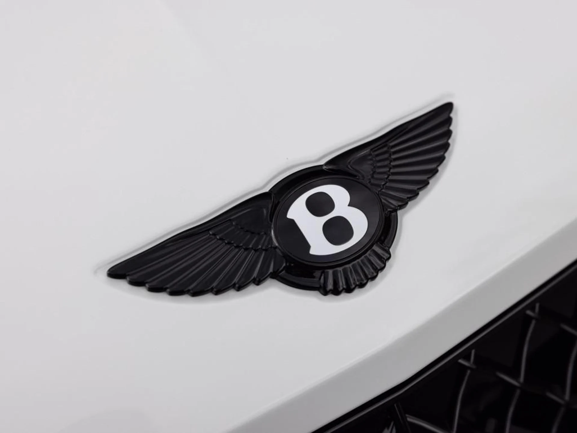 mph019_2832710461_480417655_69442334815a036f0aabfc16_d2f76fcf69