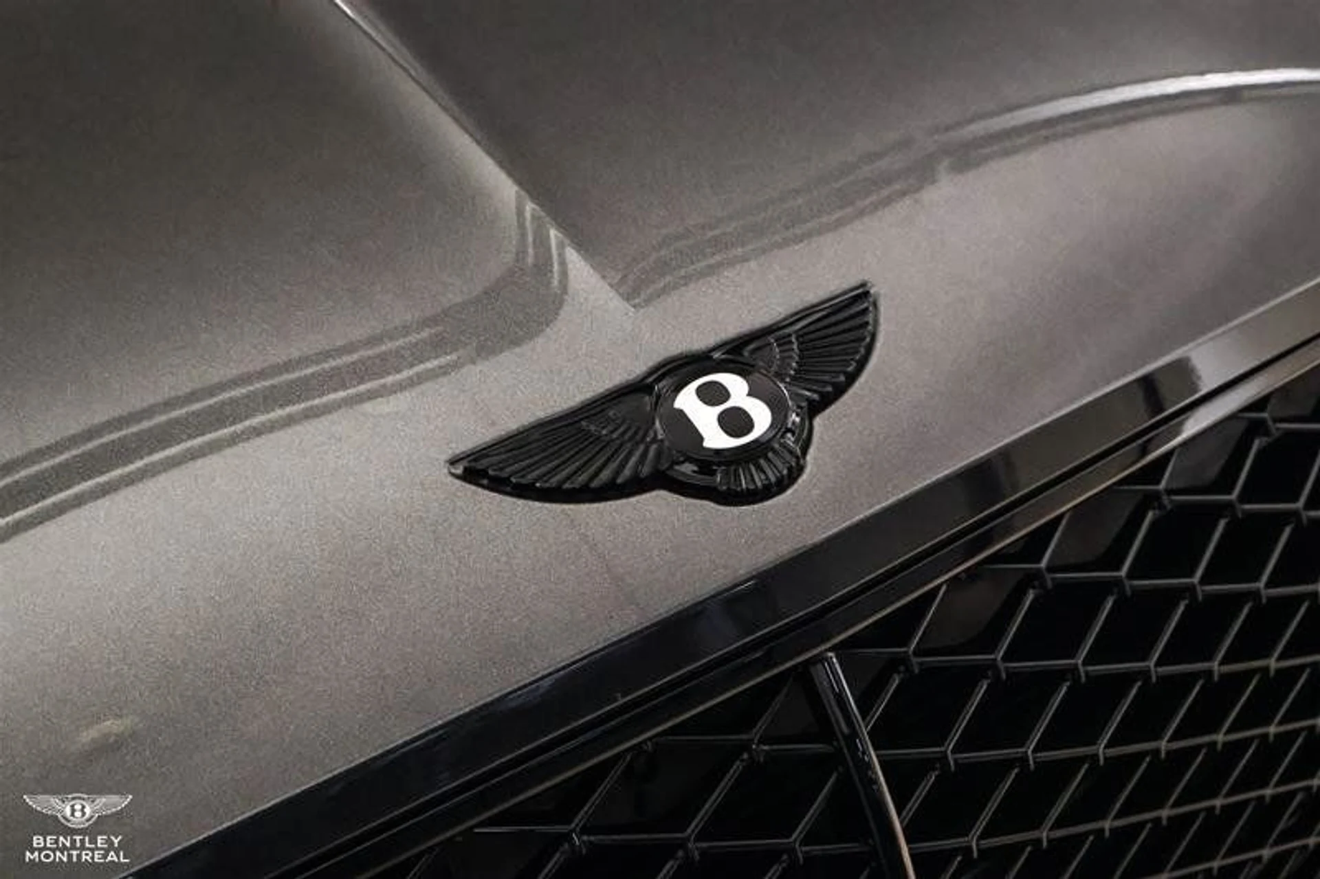 mph019_284471934_37778721_09354_gbj0ymcz_d99b9fdbea