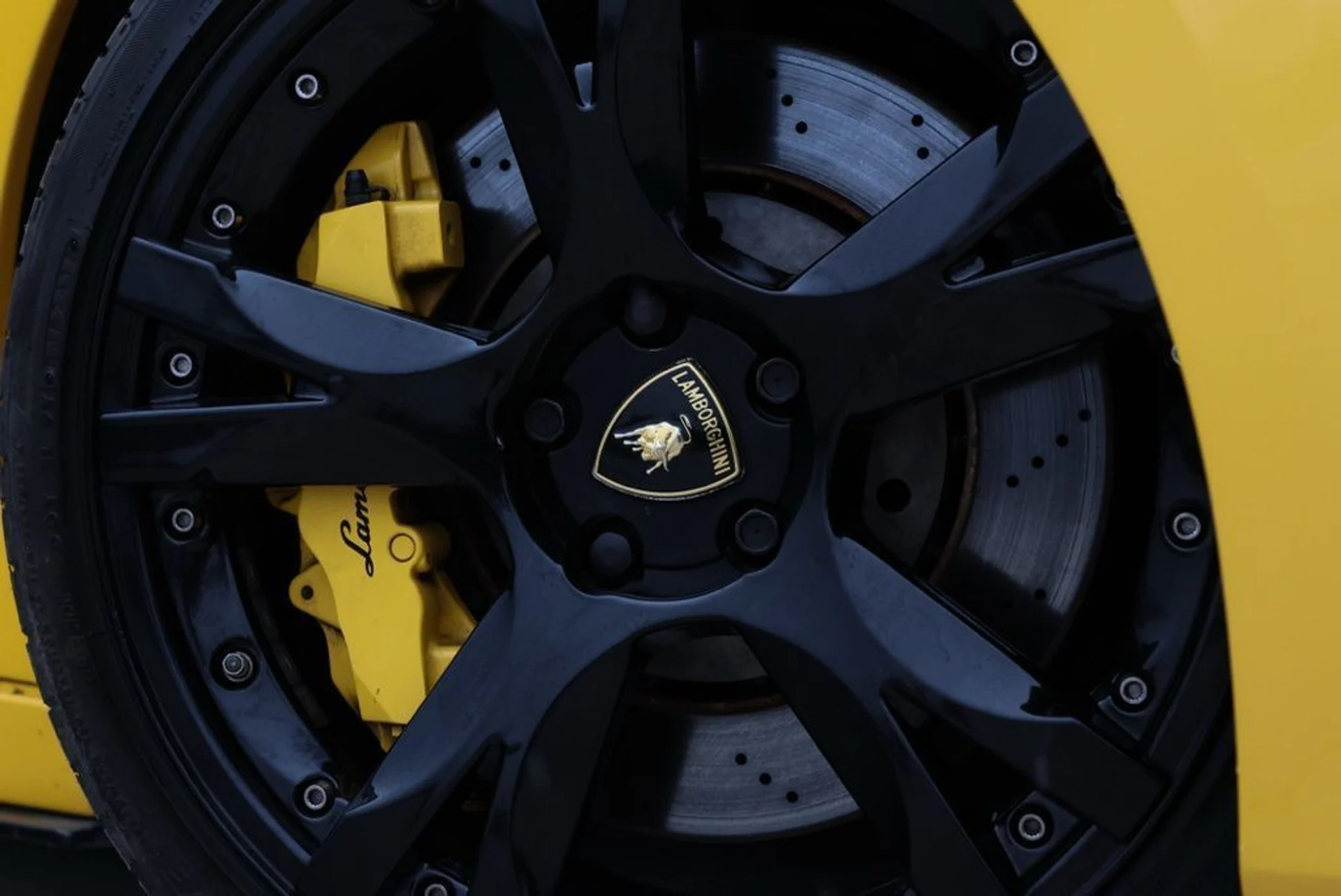 mph019_2863282237_yl0axzm6op8t16hjjx95j9npu55q_f6db222874